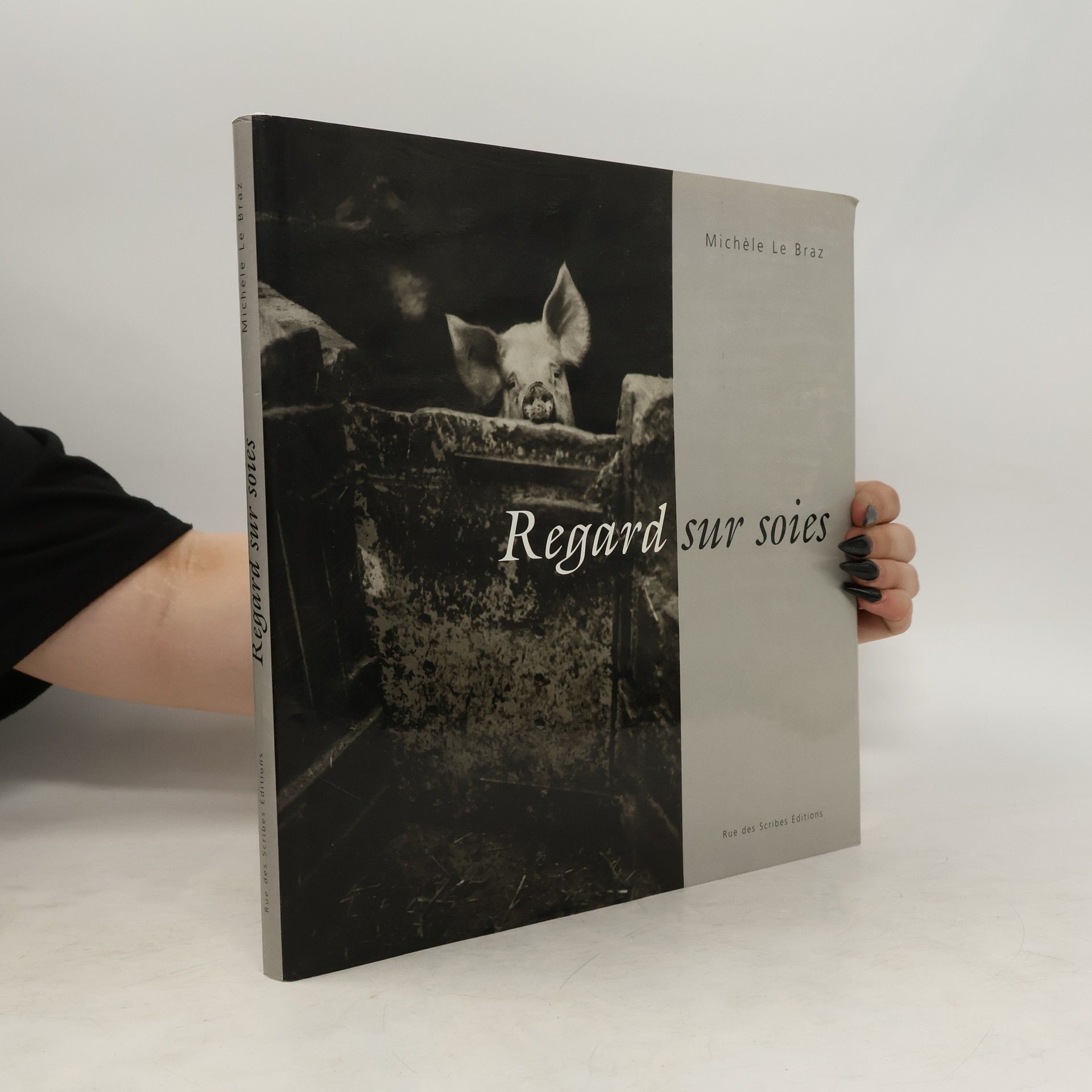 Michèle Le Braz Regard sur soies