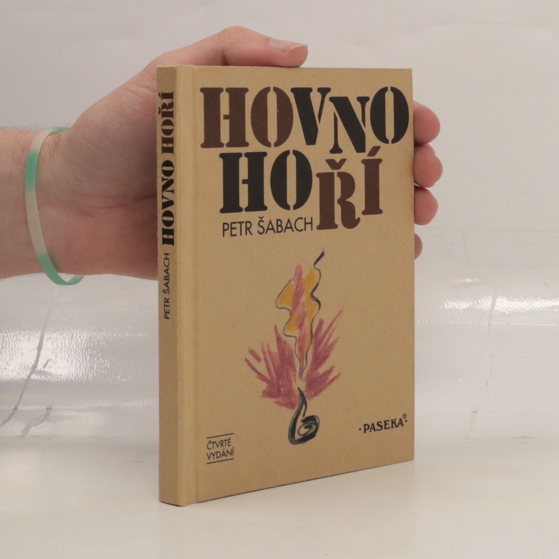 Petr Šabach Hovno hoří