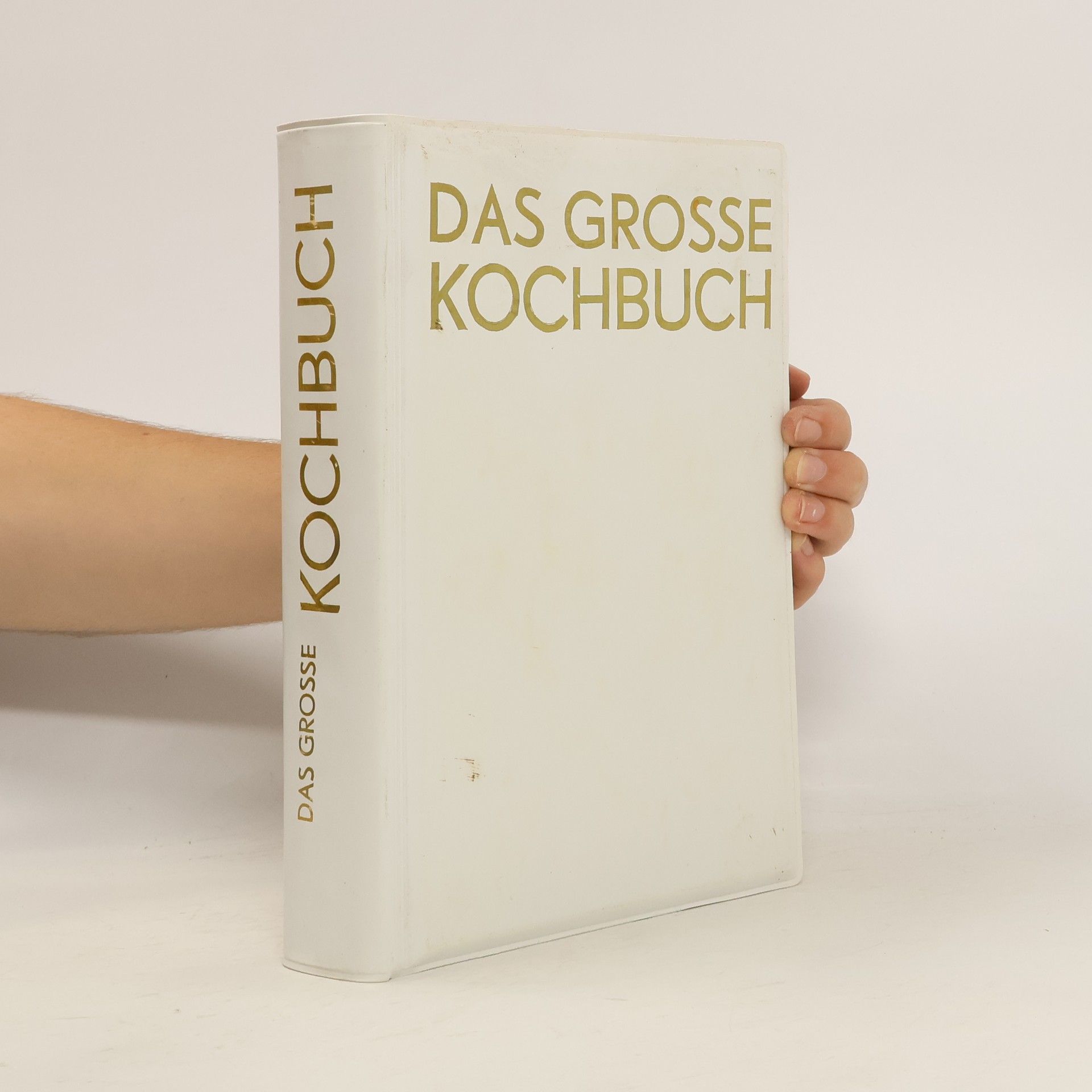 Vilém Vrabec Das Grosse Kochbuch