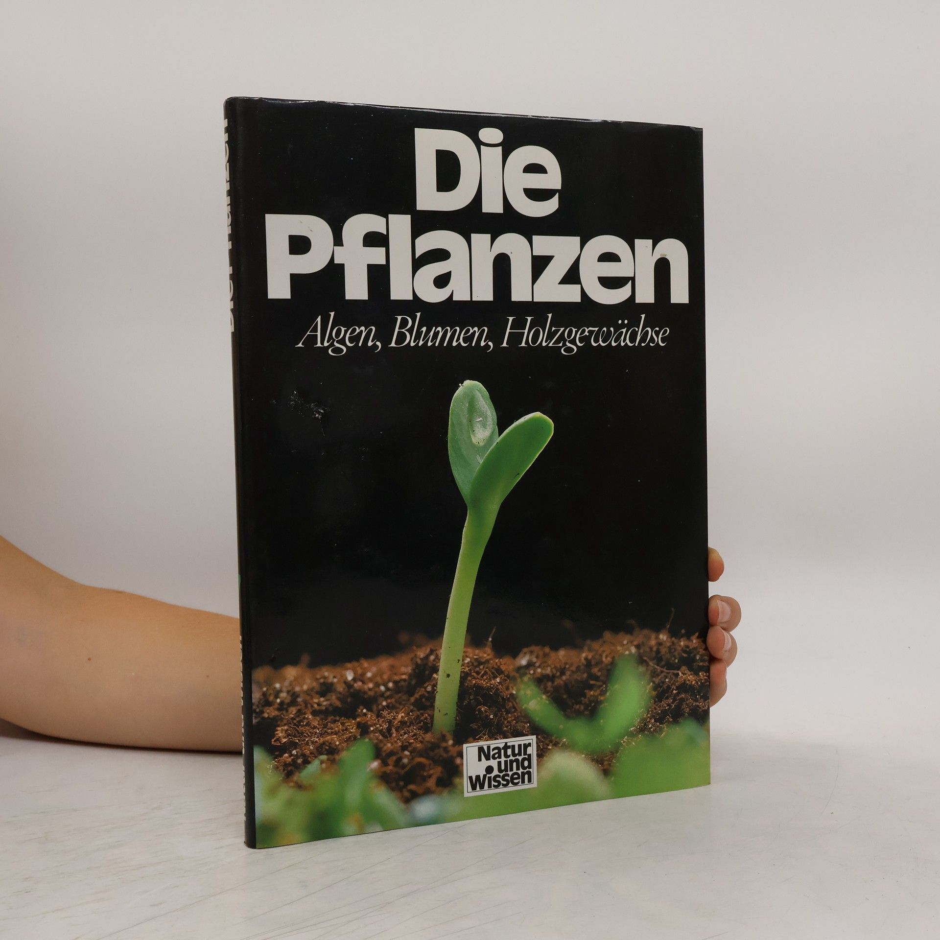 Collectif d'auteurs Die Pflanzen. Algen, Blumen, Holzgewächse