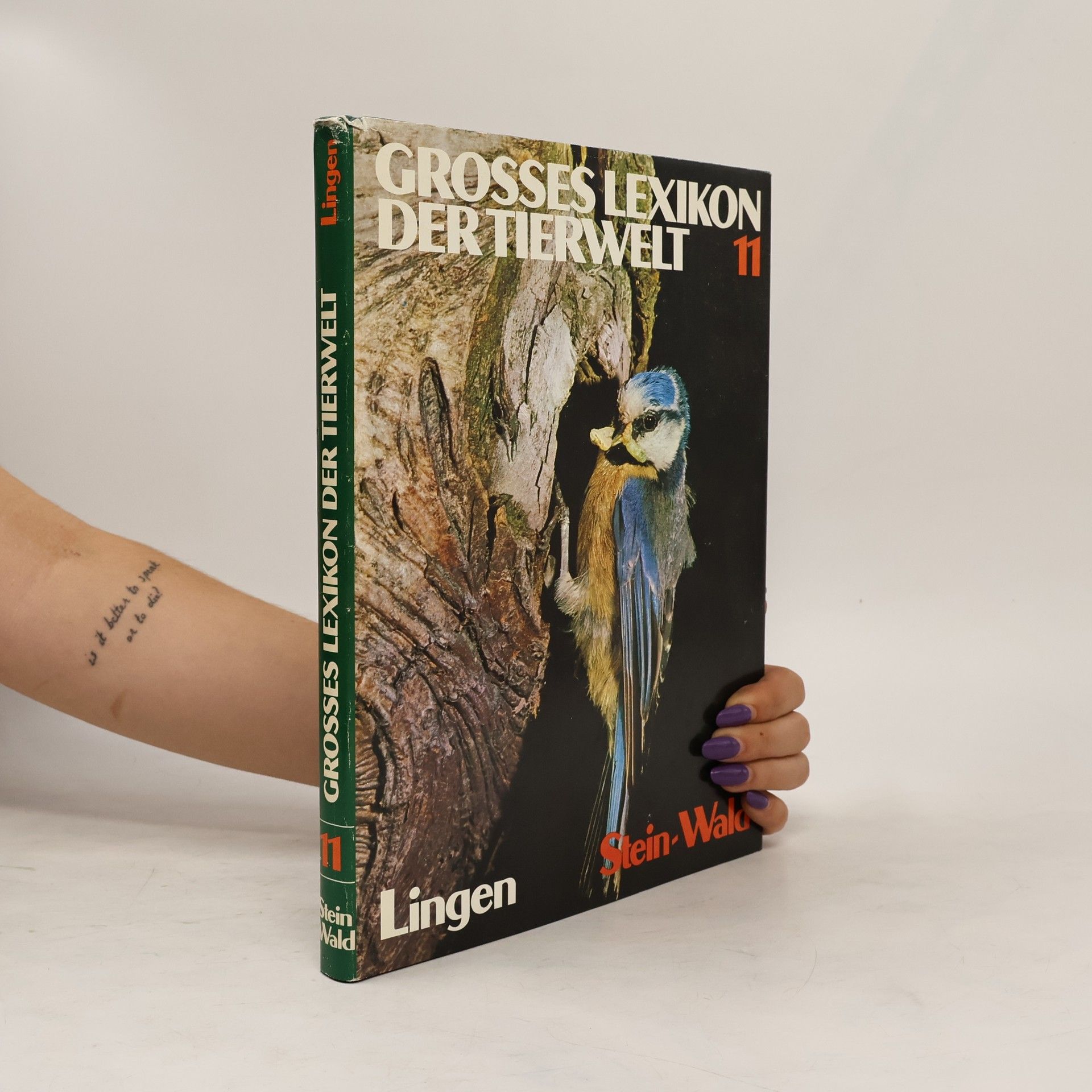 Collectif d'auteurs Das grosses Lexikon der Tierwelt 11