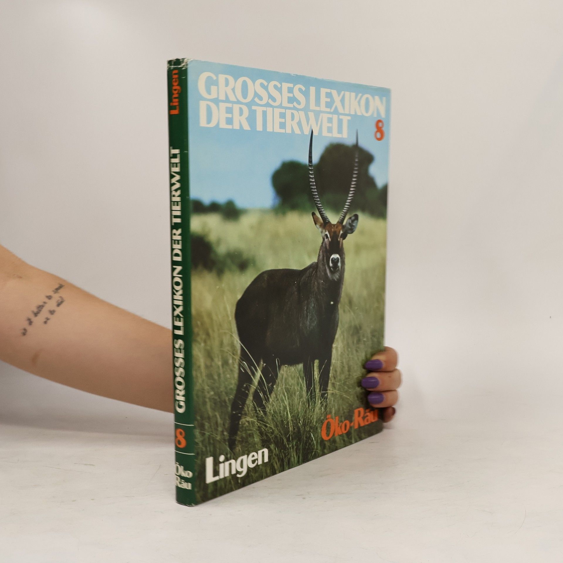 Collectif d'auteurs Das grosses Lexikon der Tierwelt 8. Öko-Räu