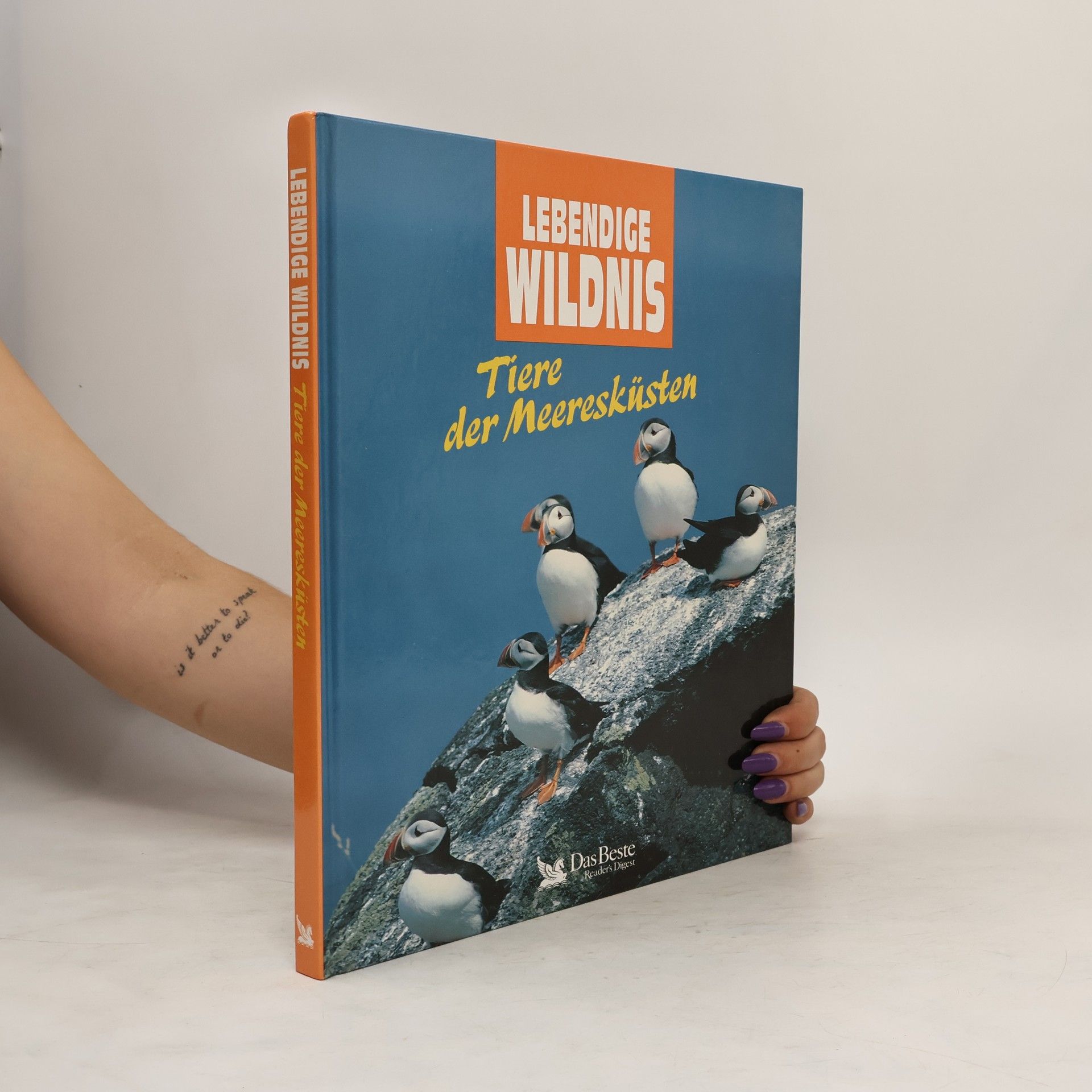 Autorenkollektiv Lebendige Wildnis : Tiere der Meeresküsten