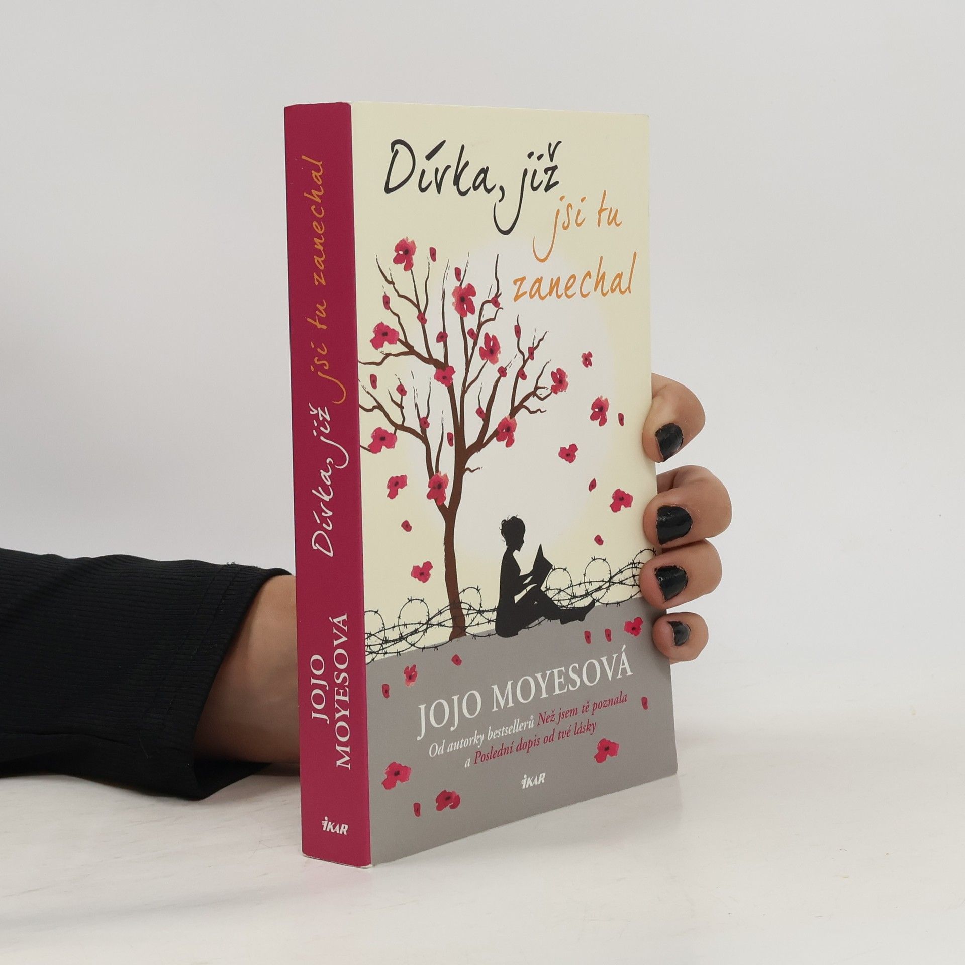 Jojo Moyes Dívka, již jsi tu zanechal