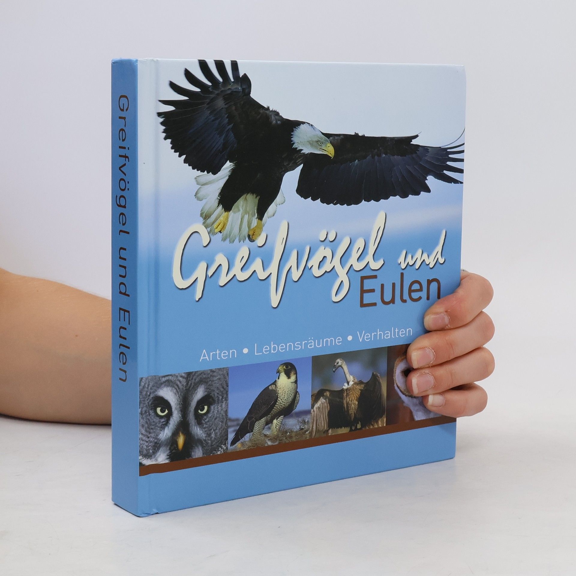 Autores varios Greifvögel und Eulen