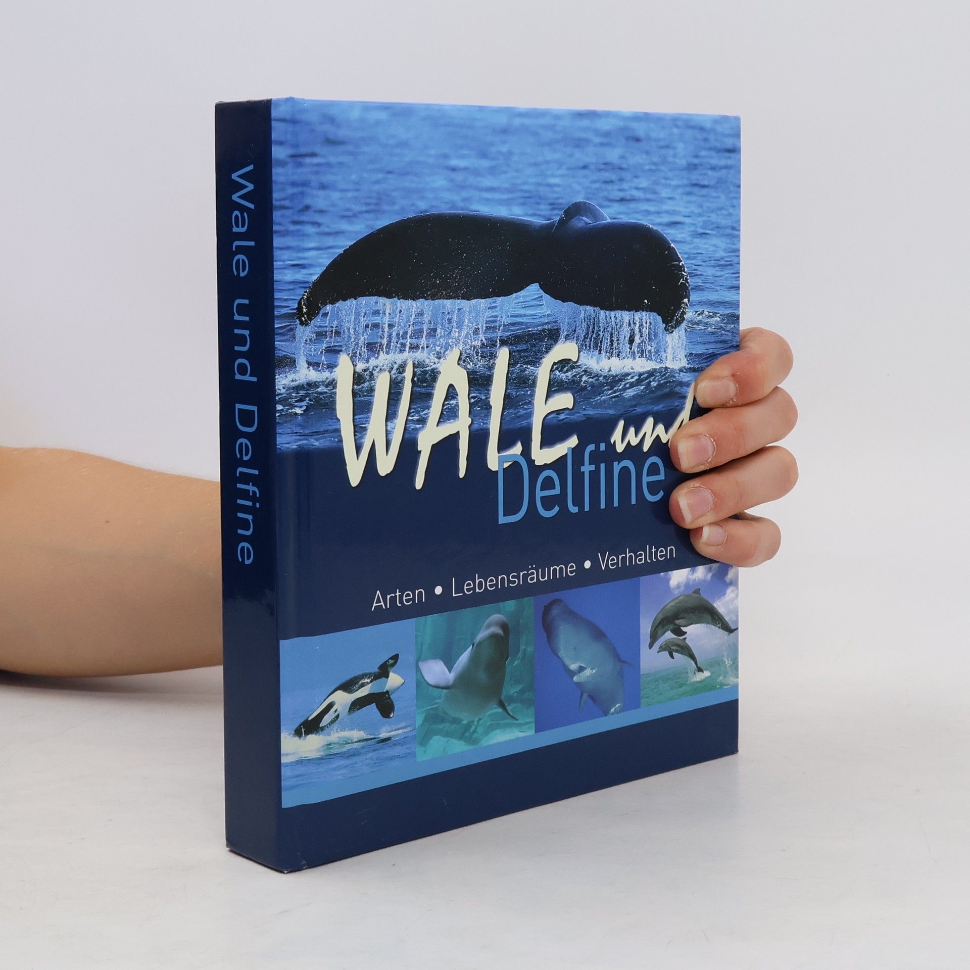 Autores varios Wale und Delfine