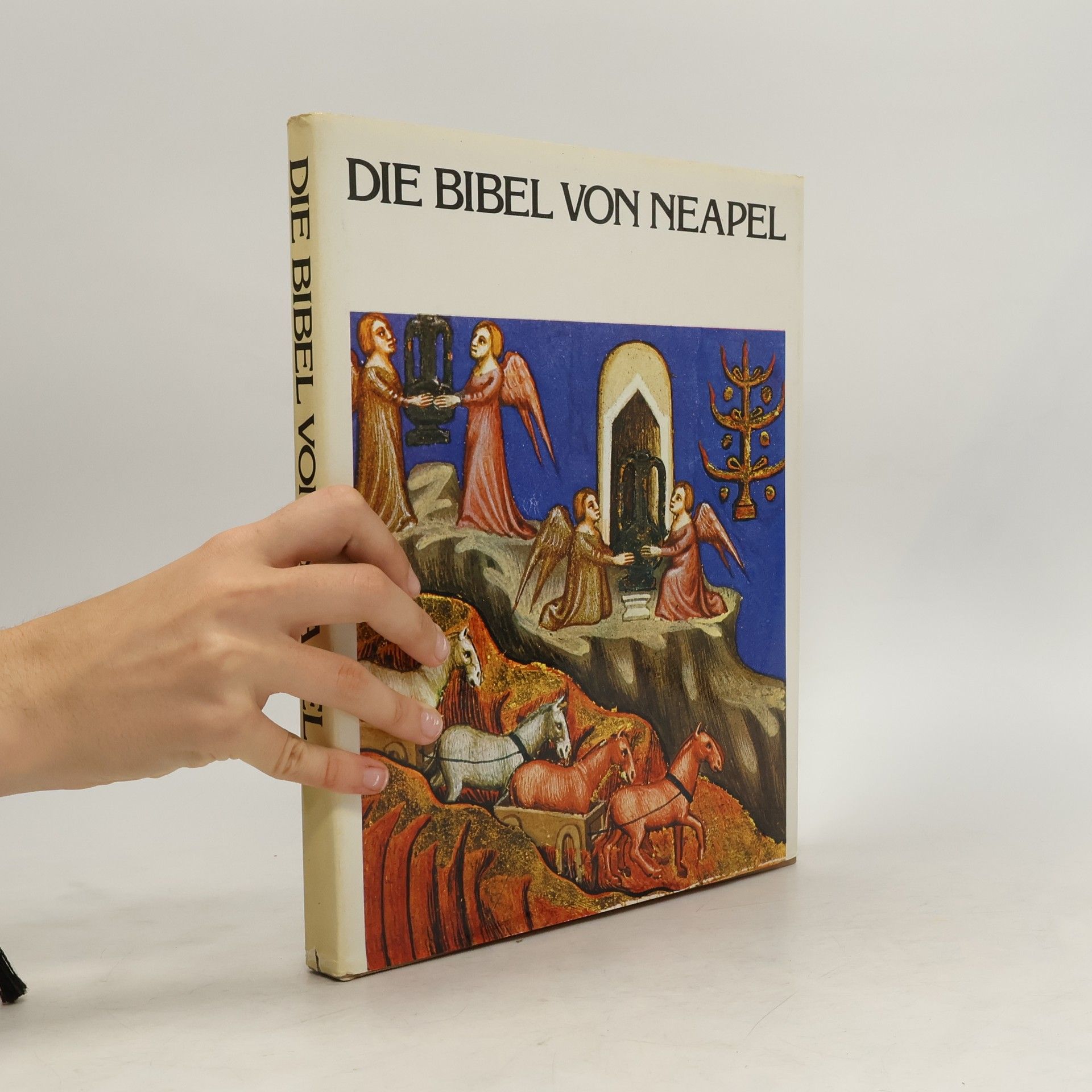 AA.VV. Die Bibel von Neapel