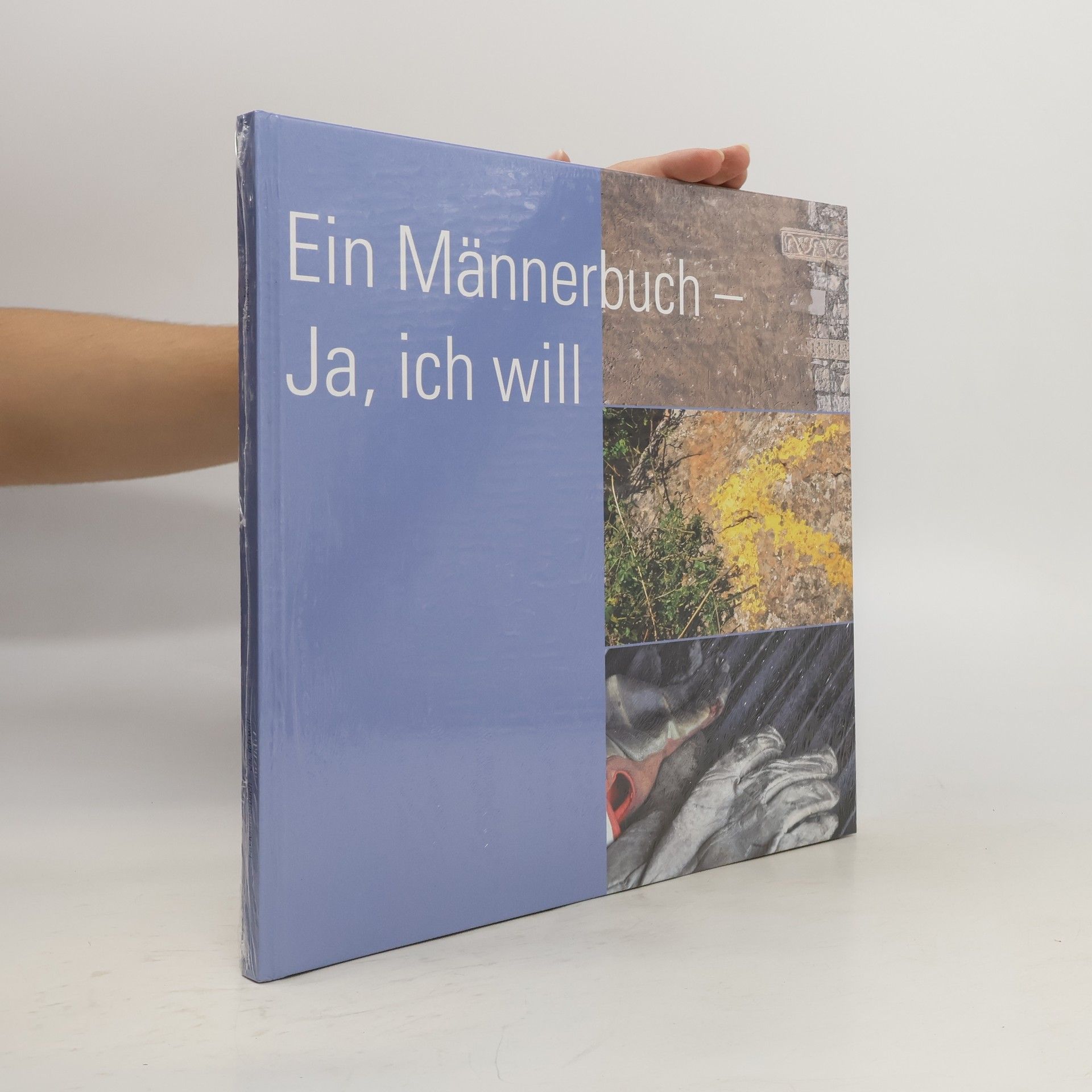 Felix Jeanmaire Ein Männerbuch - Ja, ich will!