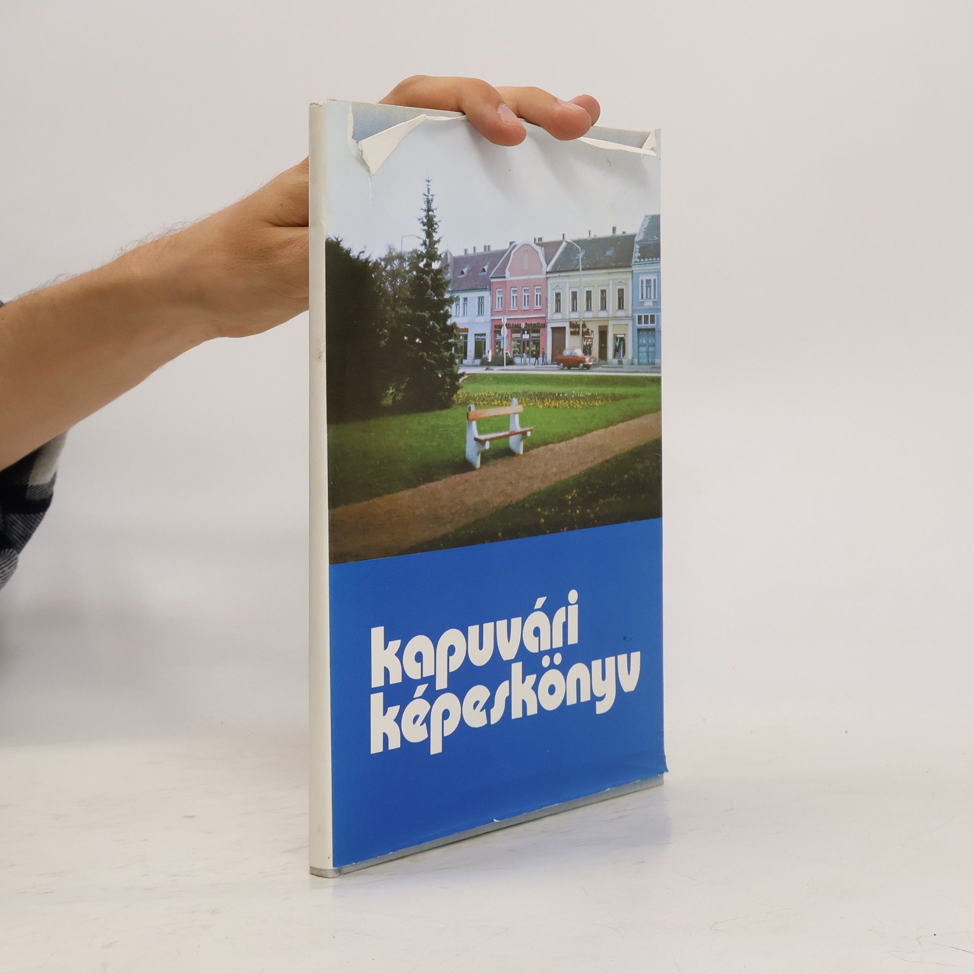 Kolektiv autorů Kapuvári képeskönyv