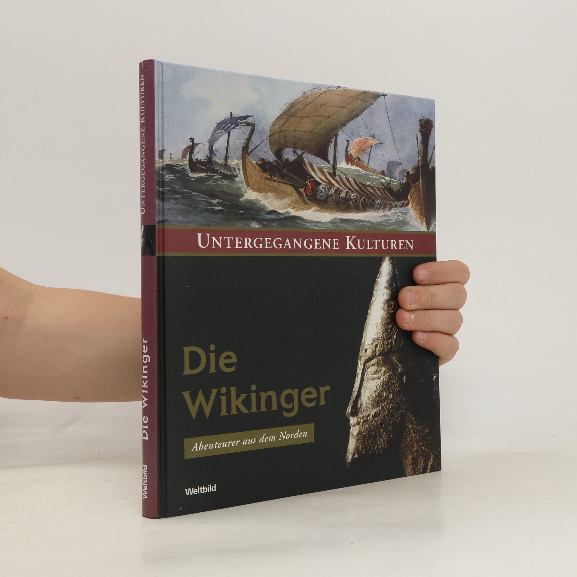 AA.VV. Die Wikinger