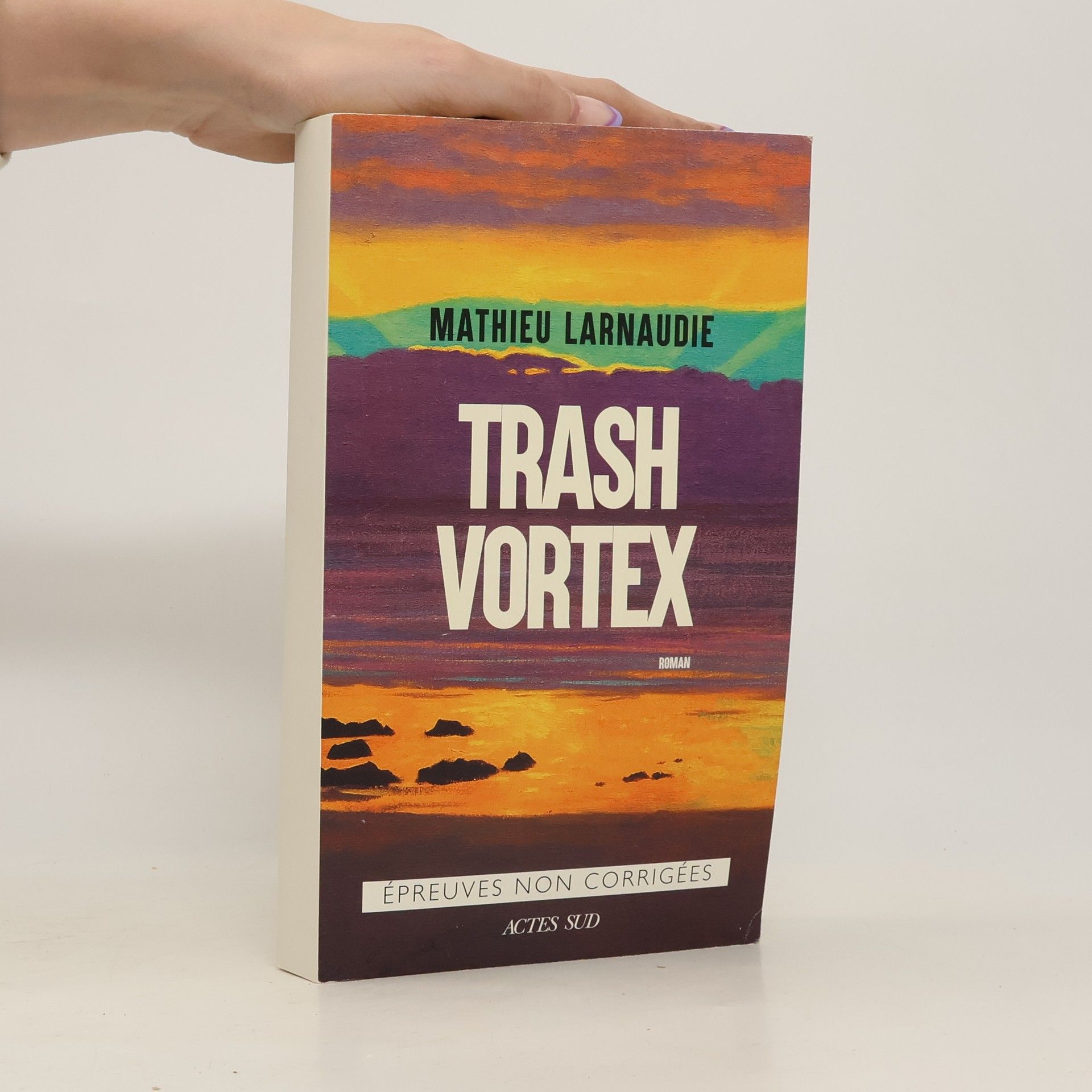 Mathieu Larnaudie Trash Vortex