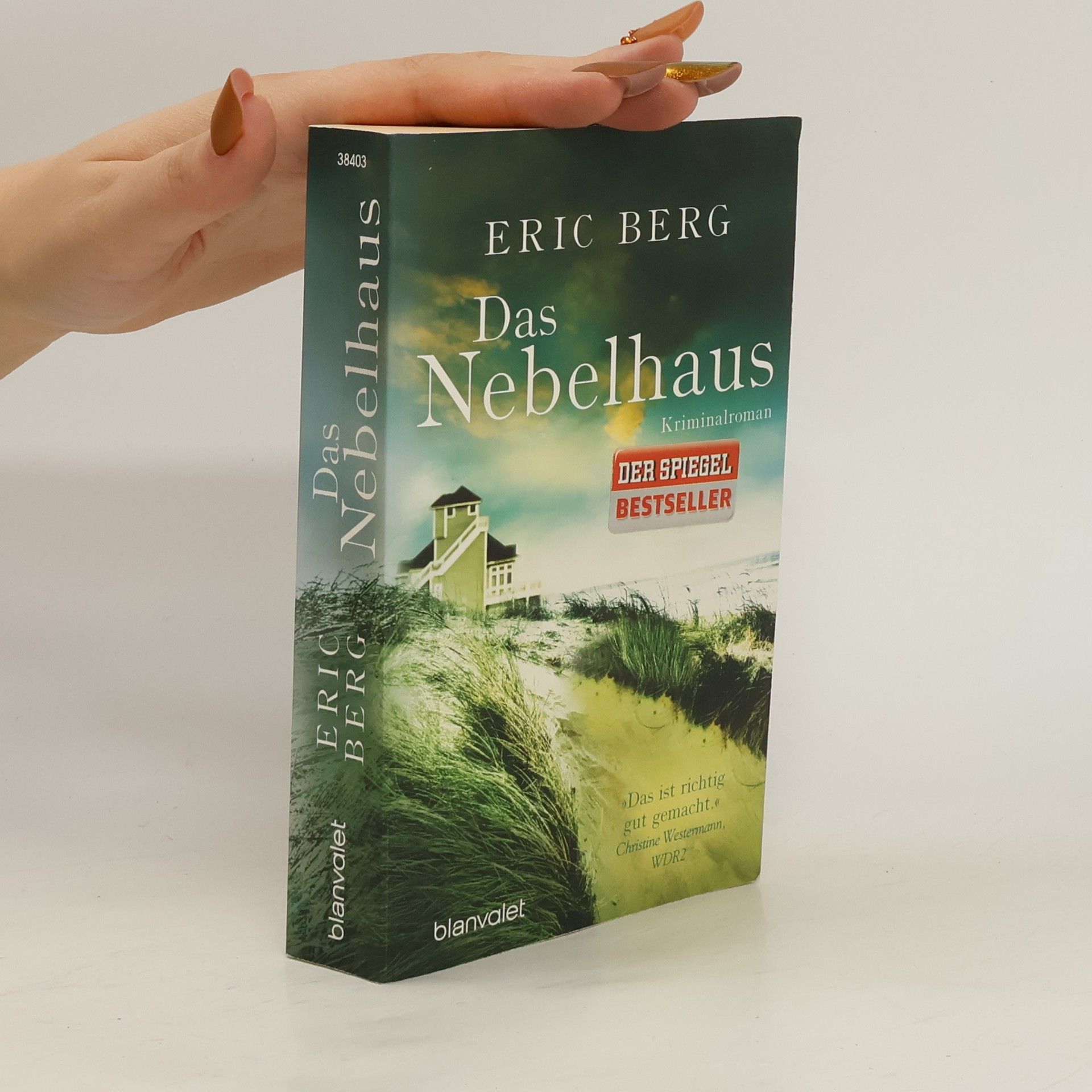 Eric Berg Das Nebelhaus