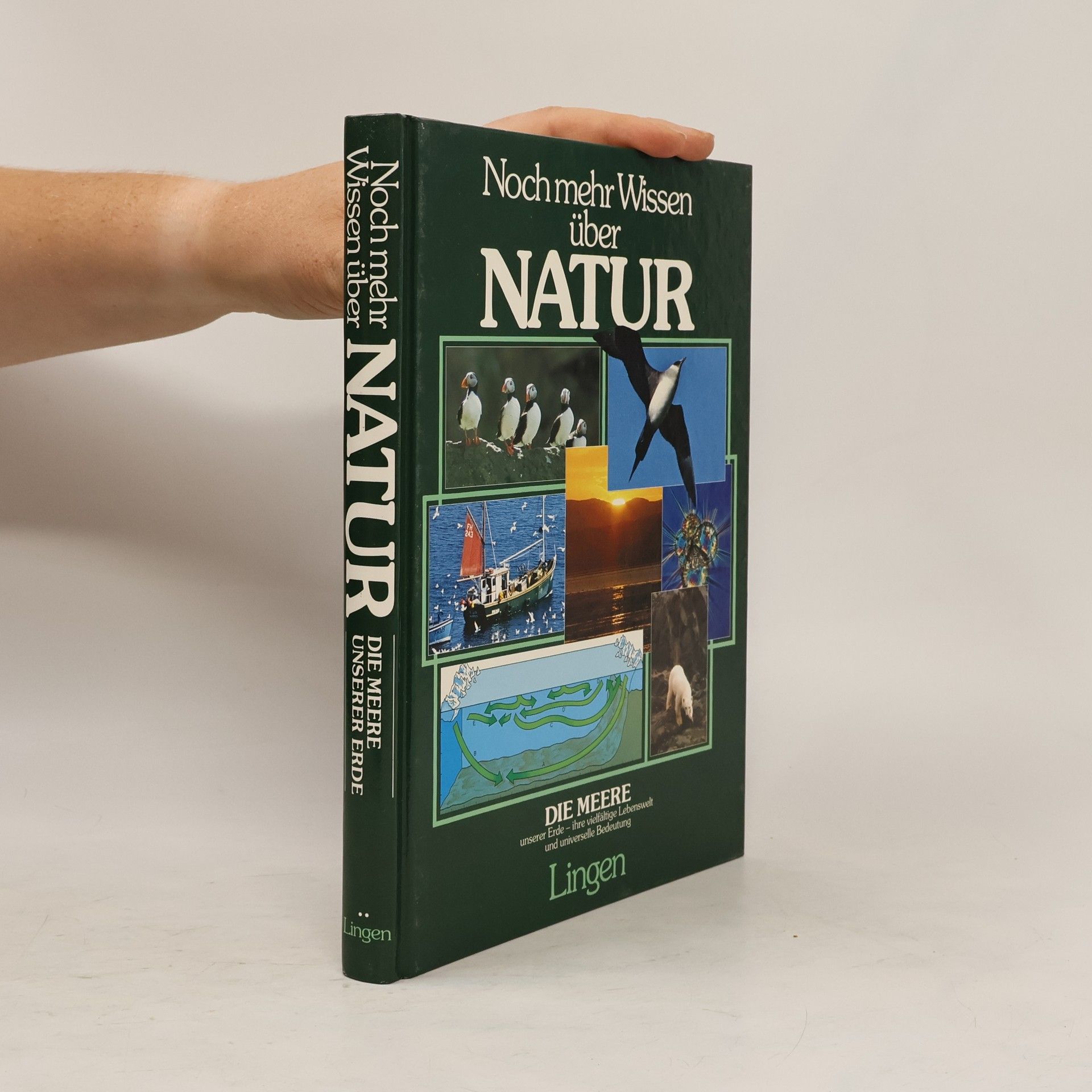 Various authors Noch mehr Wissen über Natur. Unsere Erde