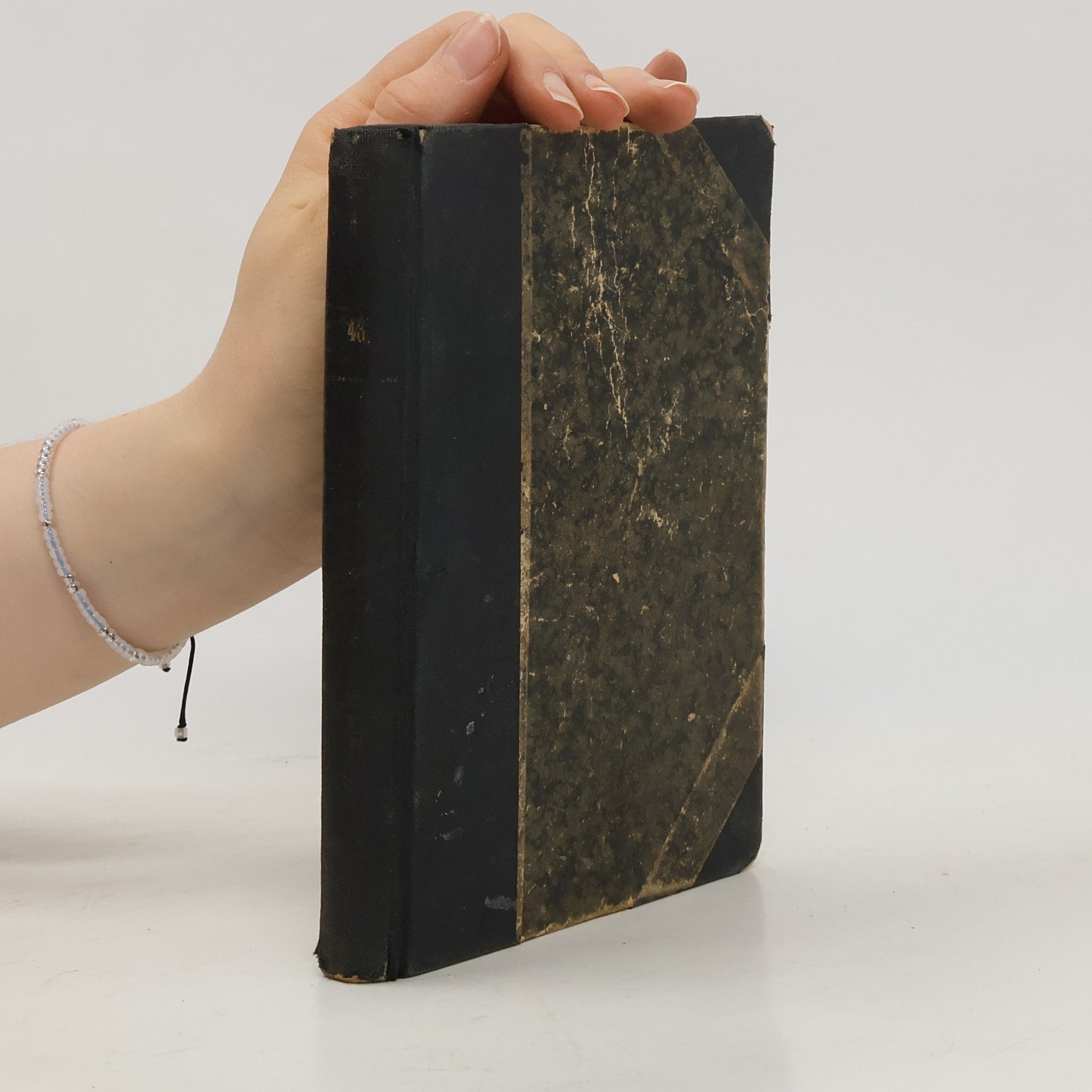 Dědictví Maličkých pod ochranou sv. Karla Boromejského číslo 43