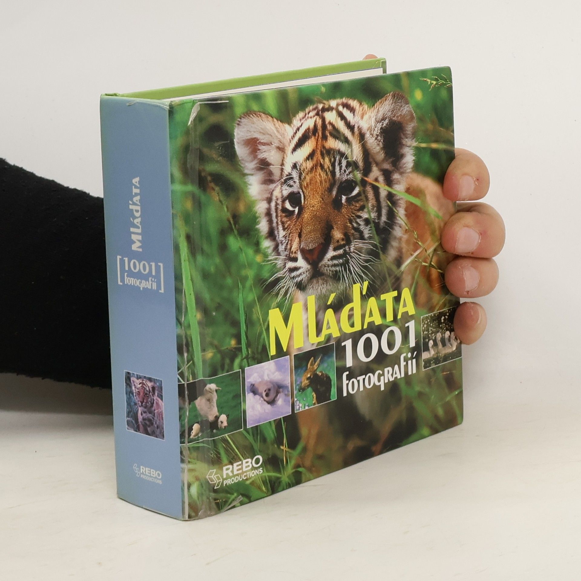 Autorenkollektiv Mláďata. 1001 fotografií