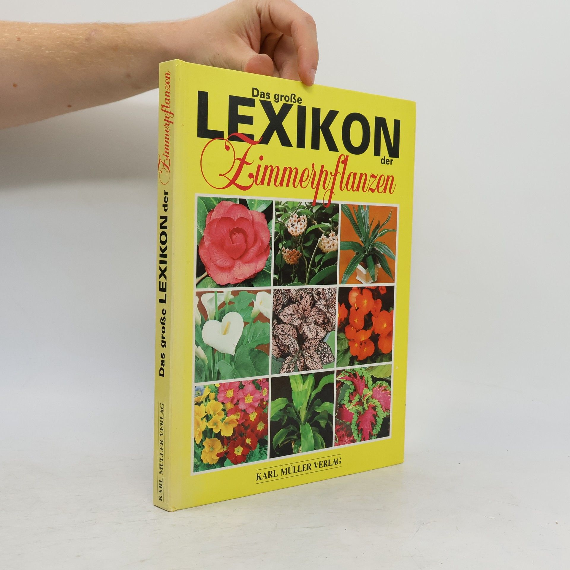kolektiv Das große Lexikon der Zimmerpflanzen