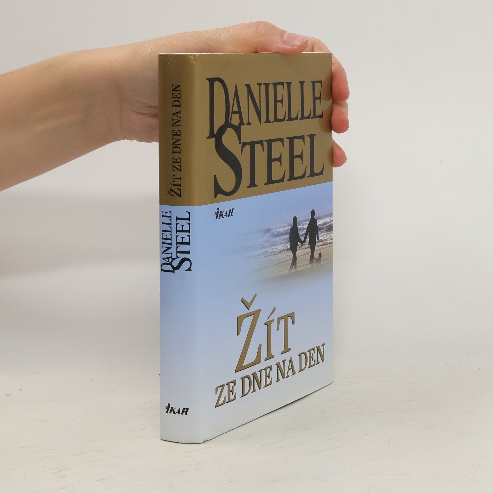 Danielle Steel Žít ze dne na den