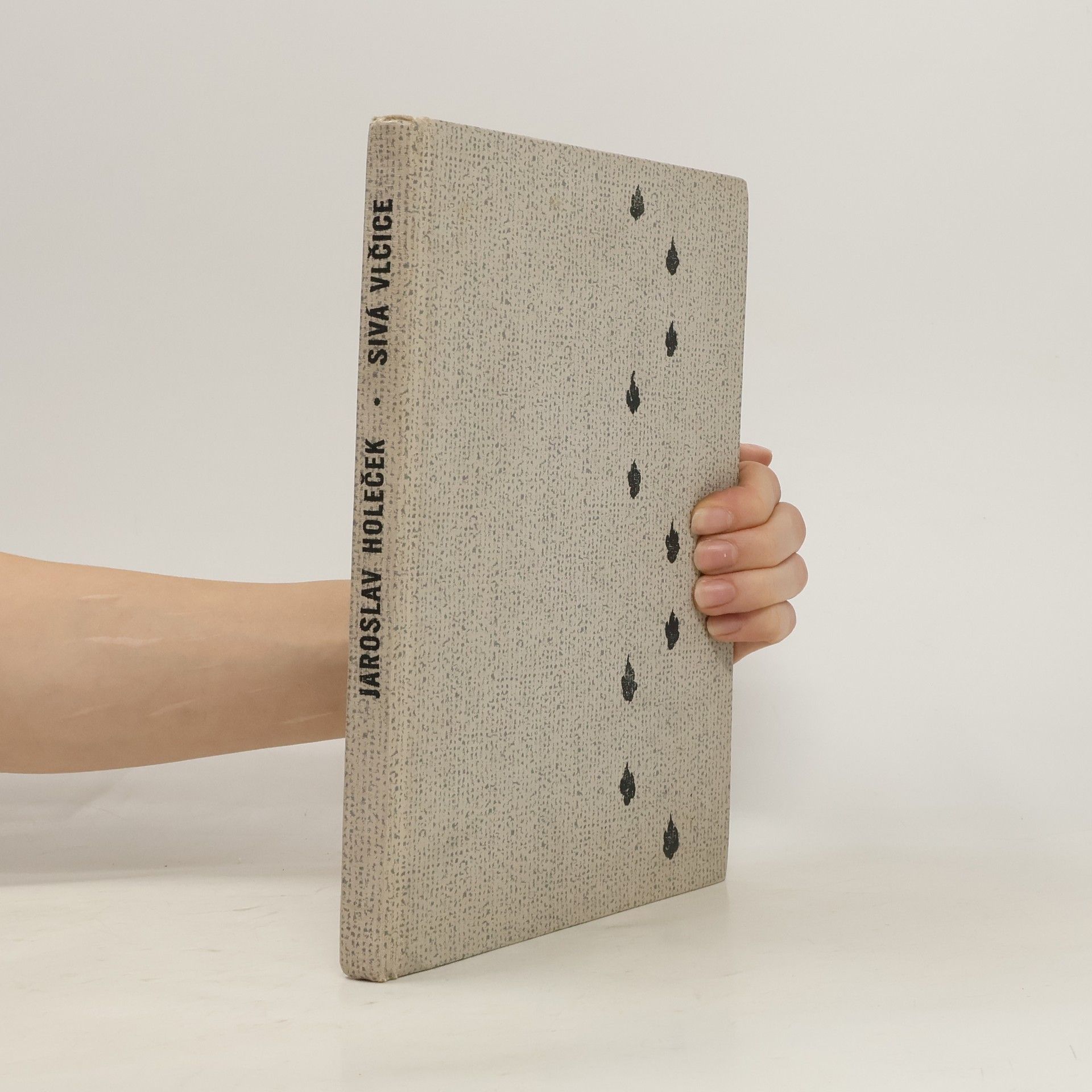 Jaroslav Holeček Sivá vlčice