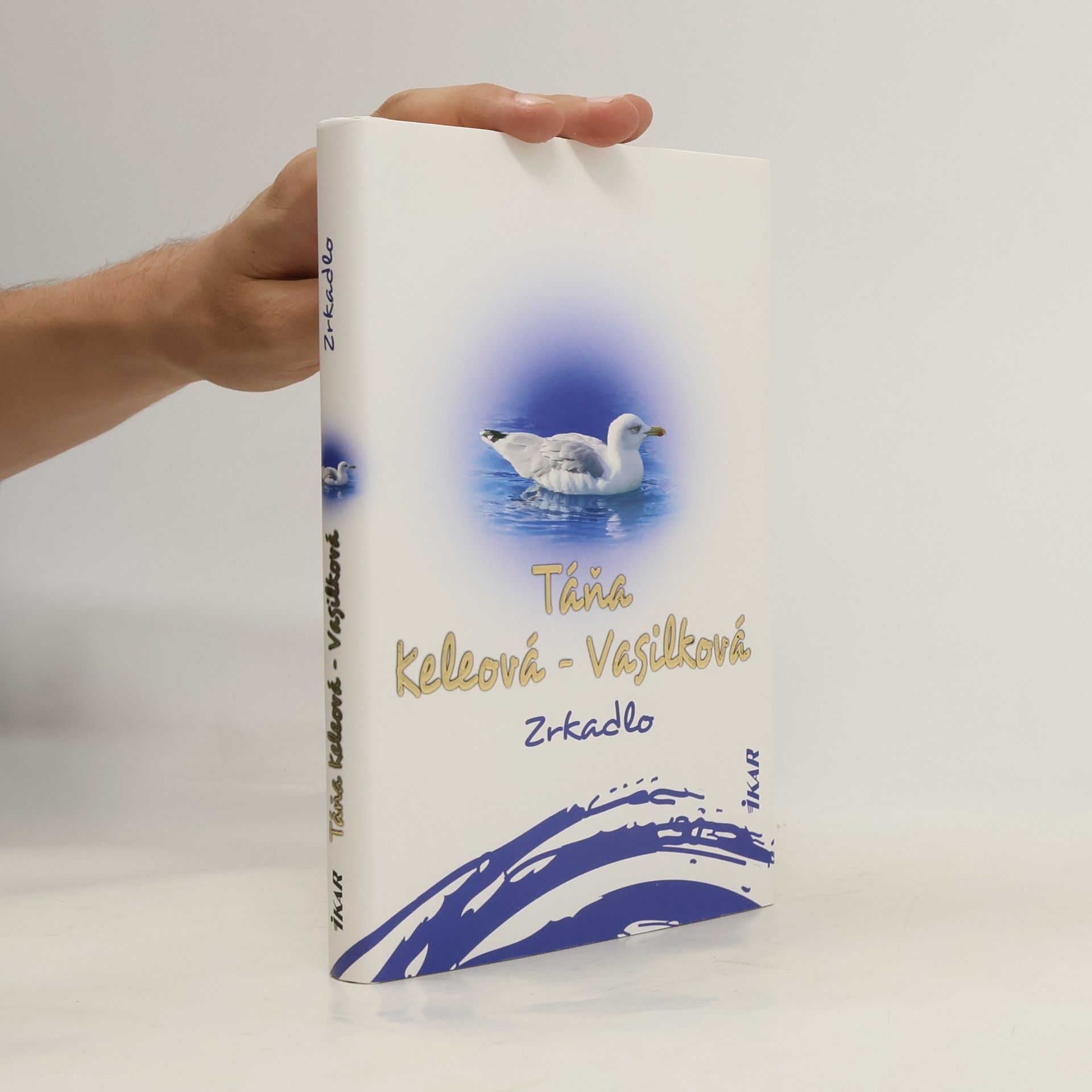 Táňa Keleová Vasilková Zrkadlo