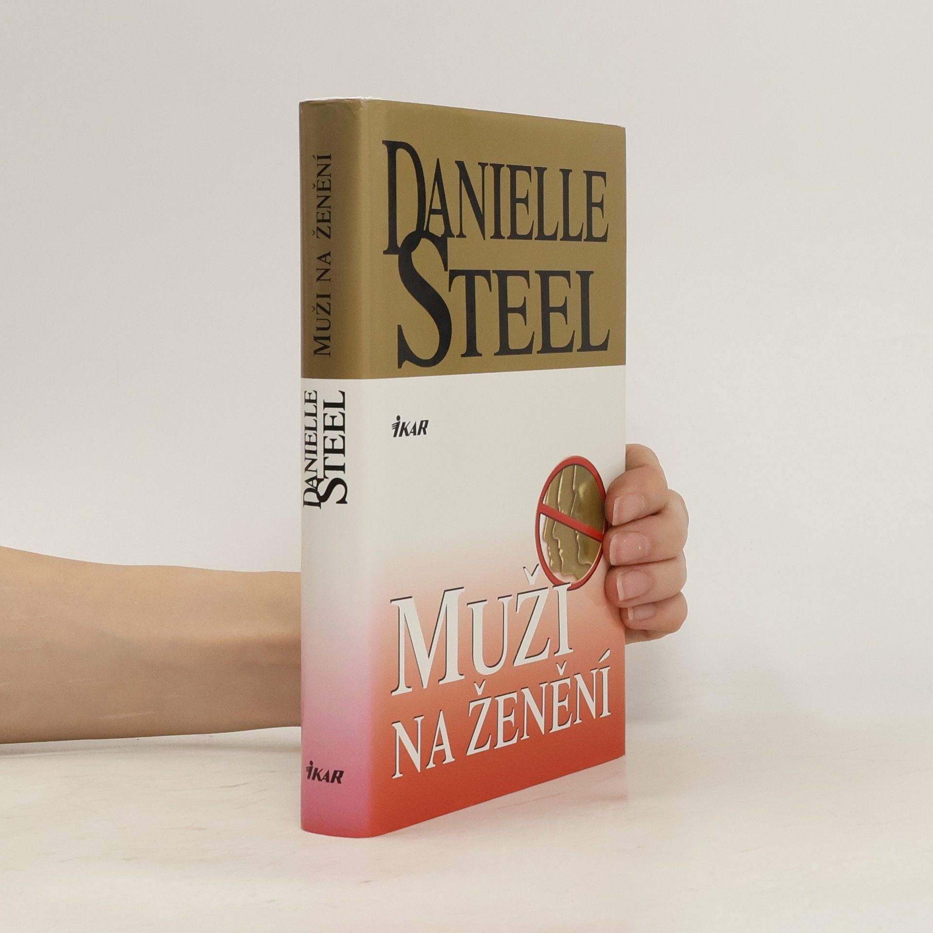 Danielle Steel Muži na ženění