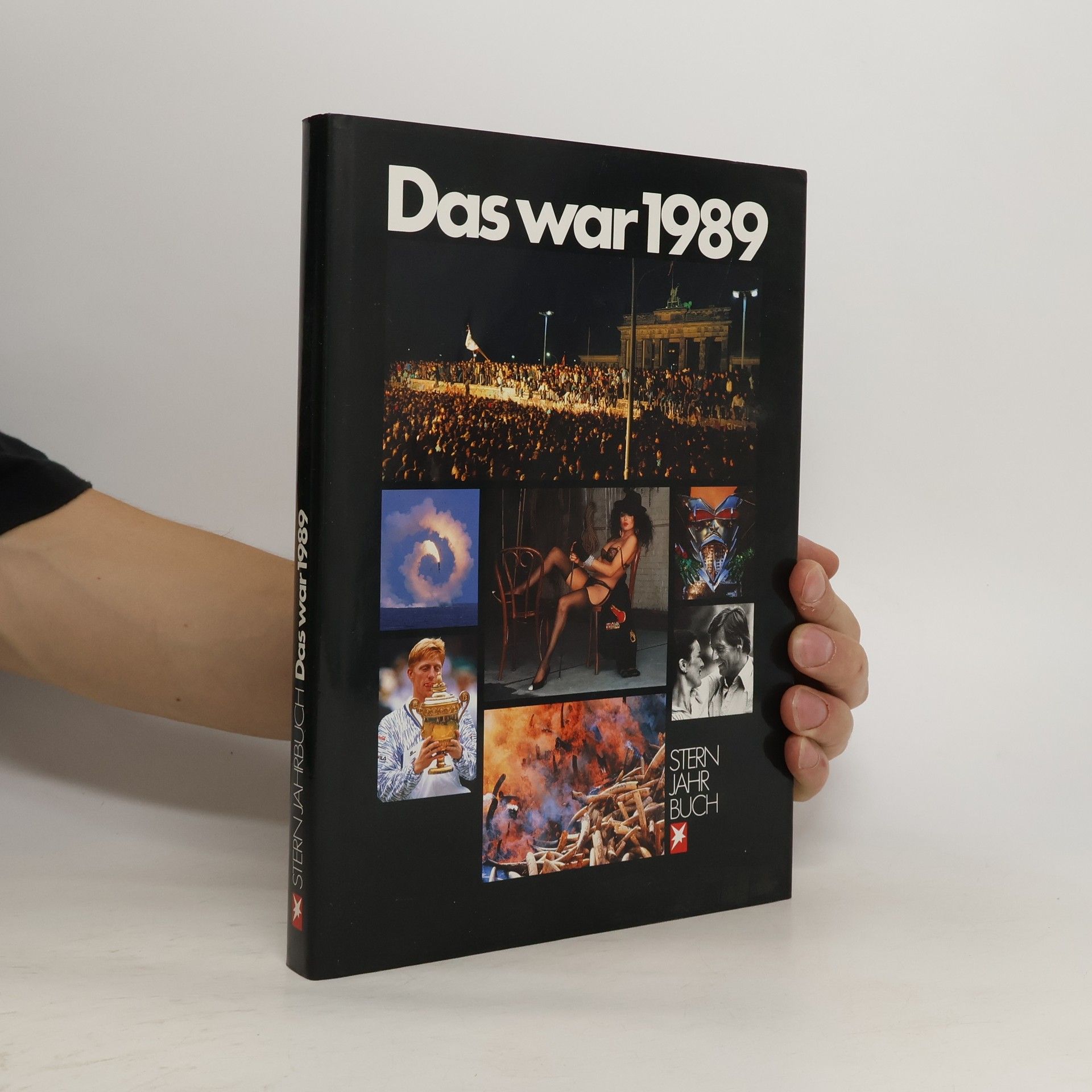 Collectif d'auteurs Das war 1989