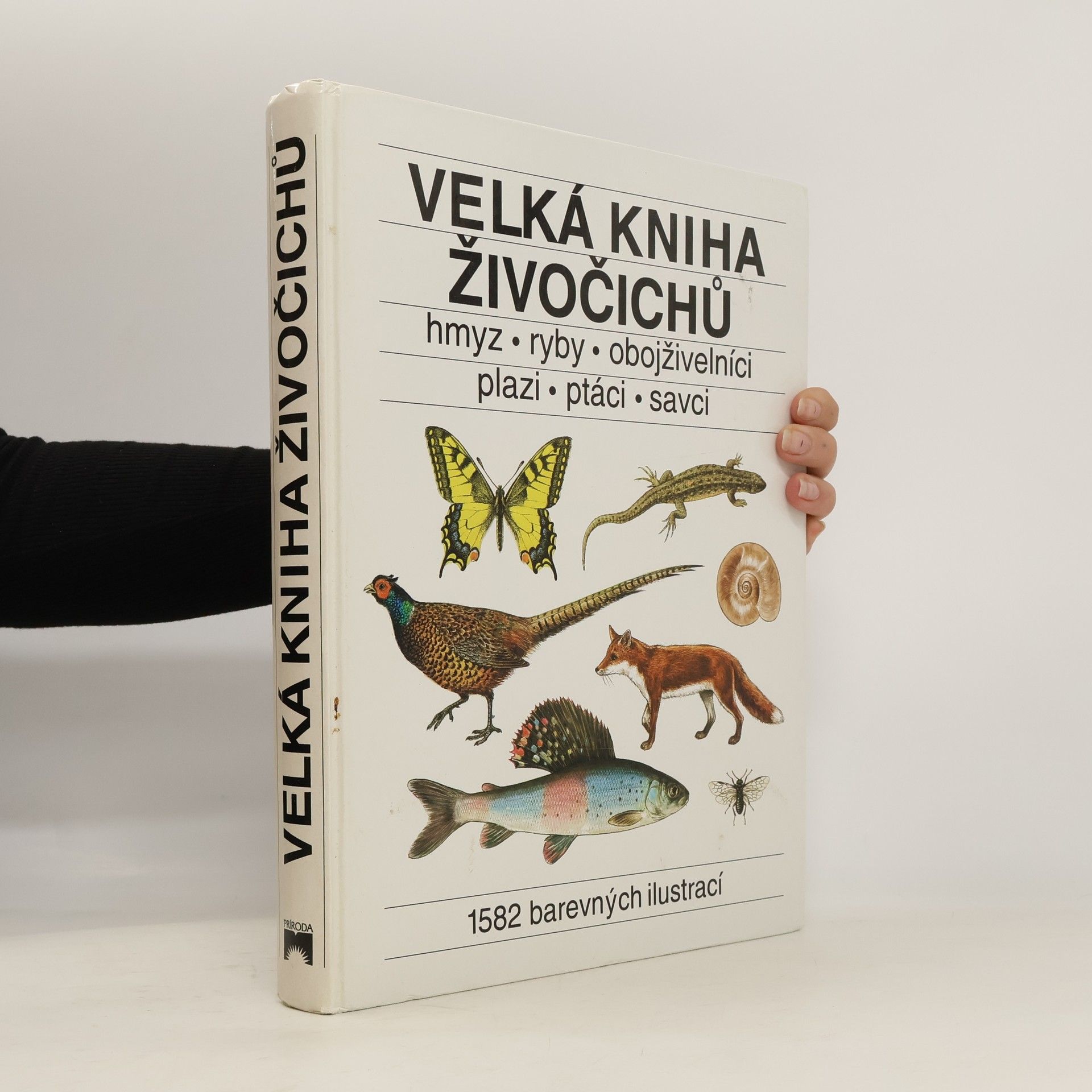 Jindřich Krejča Velká kniha živočichů : hmyz, ryby, obojživelníci, plazi, ptáci, savci