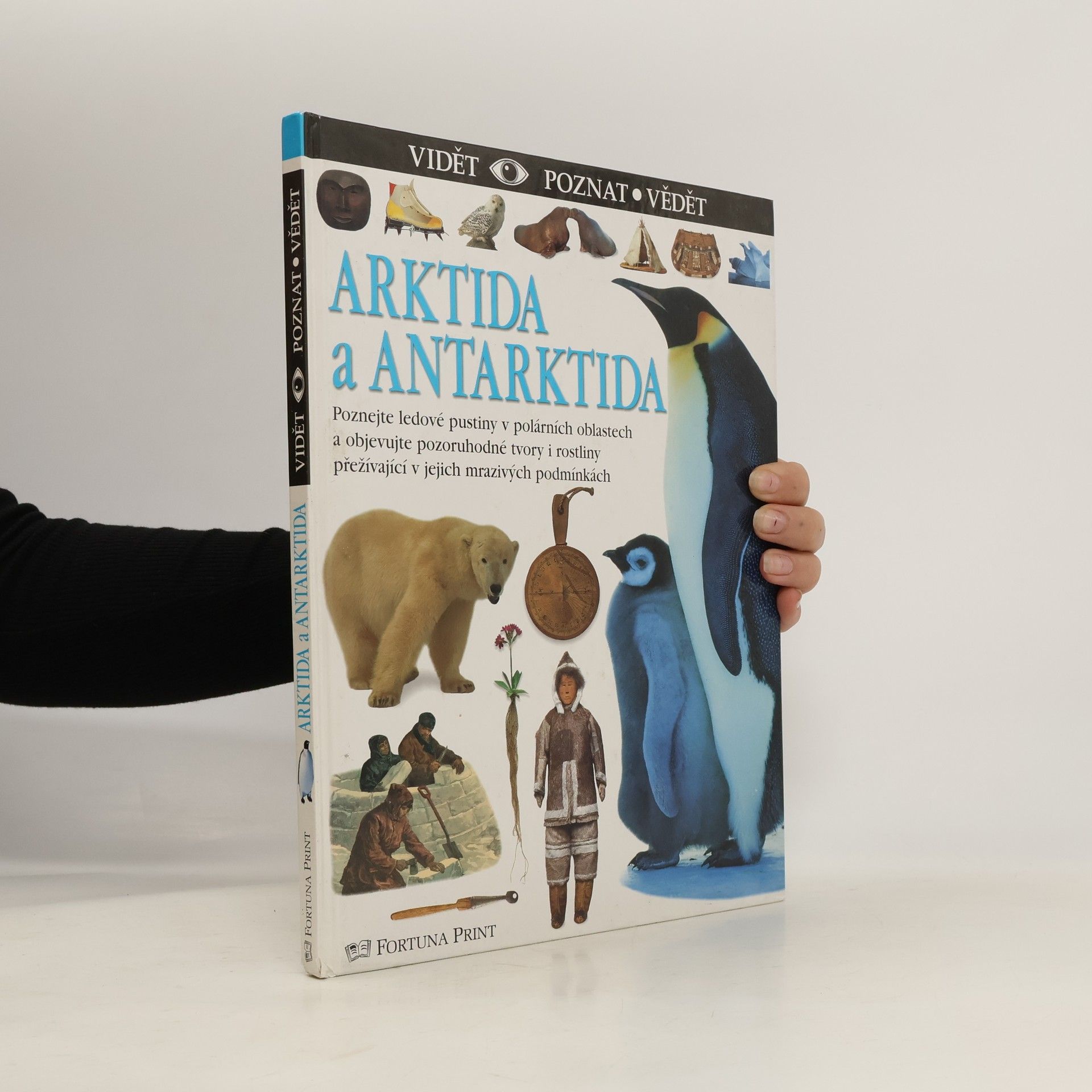 Arktida a Antarktida