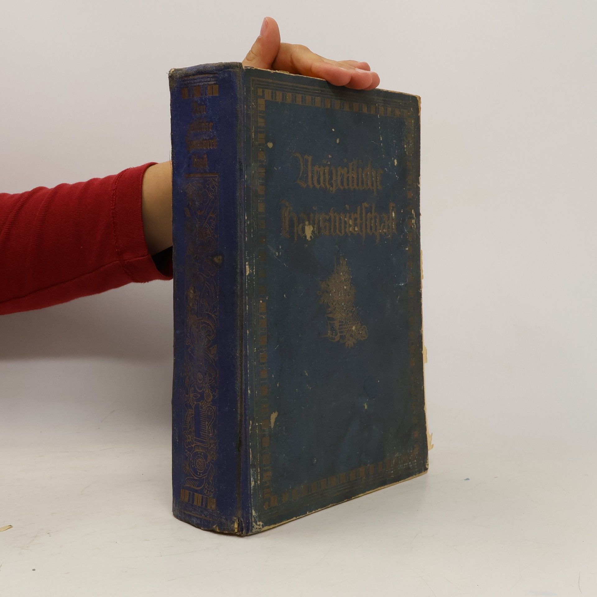 Neuzeitliche Hauswirtschaft