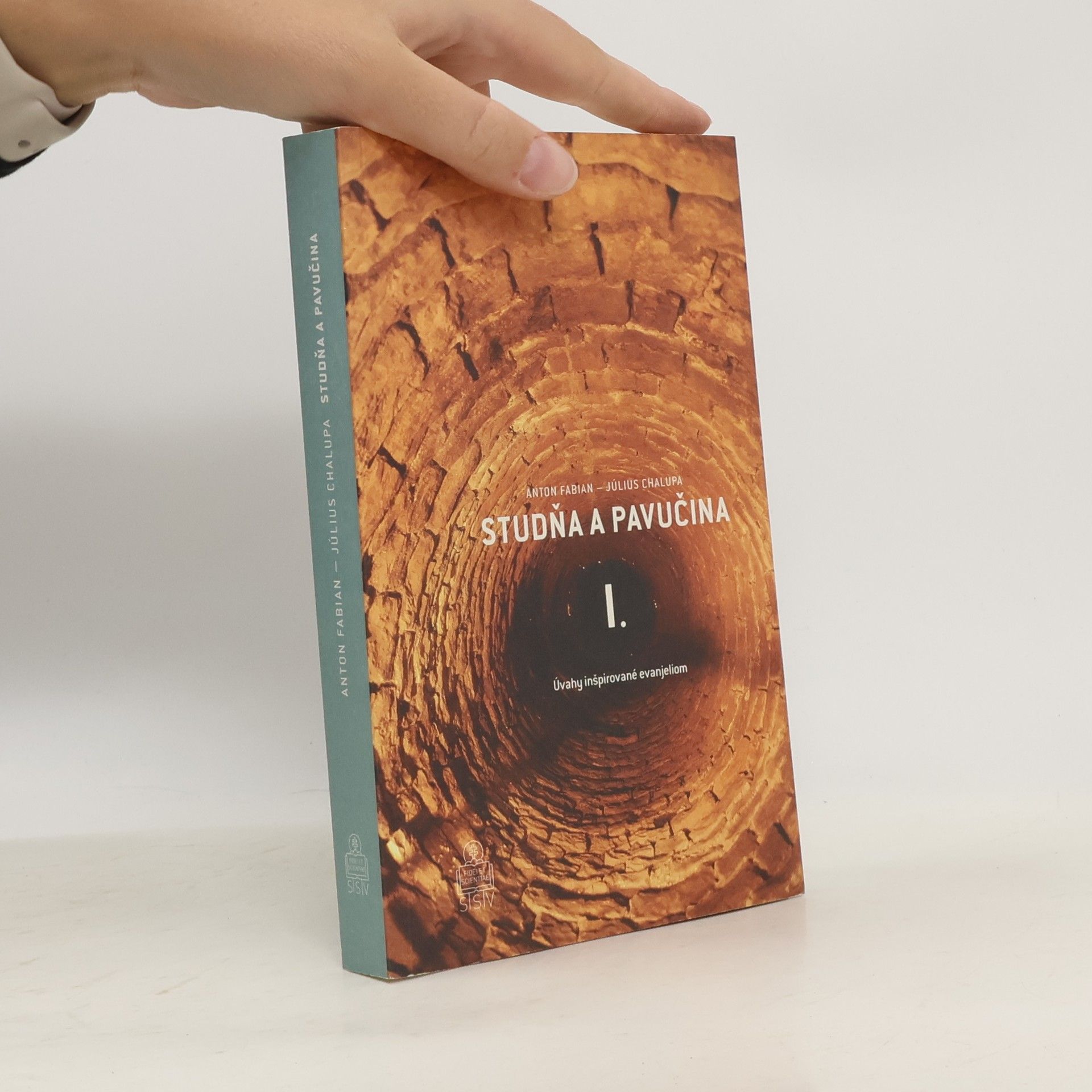 Anton Fabian Studňa a pavučina I.