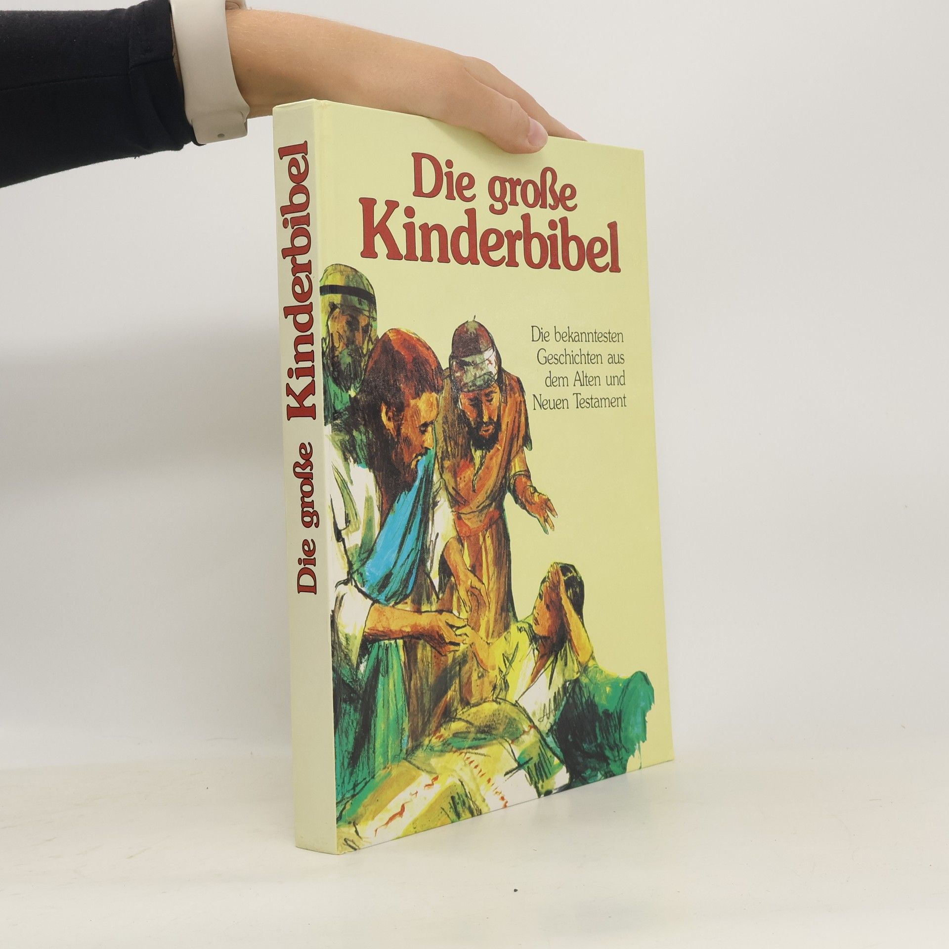 Autorenkollektiv Die große Kinderbibel