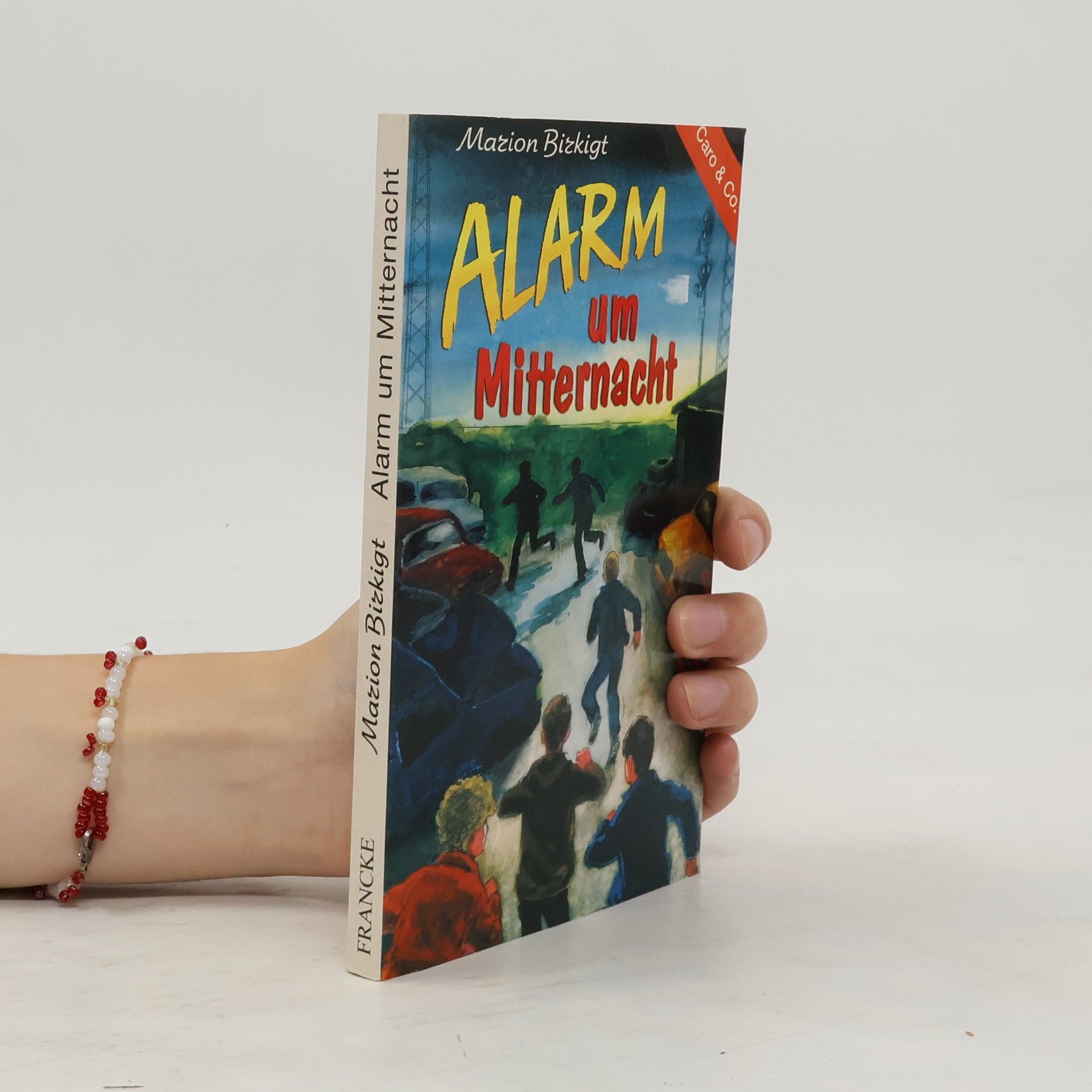 kolektiv Alarm um Mitternacht