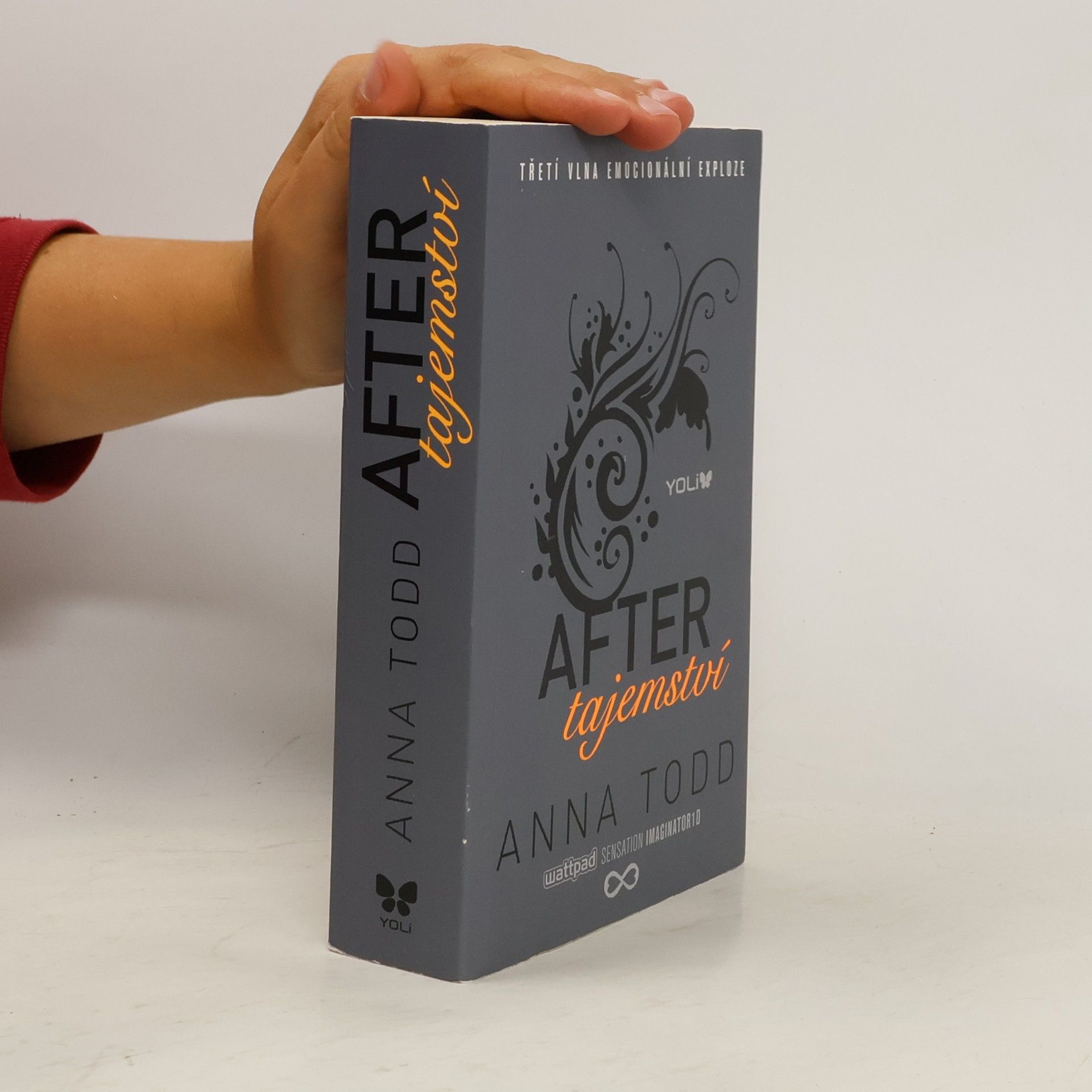 Anna Todd After. Tajemství