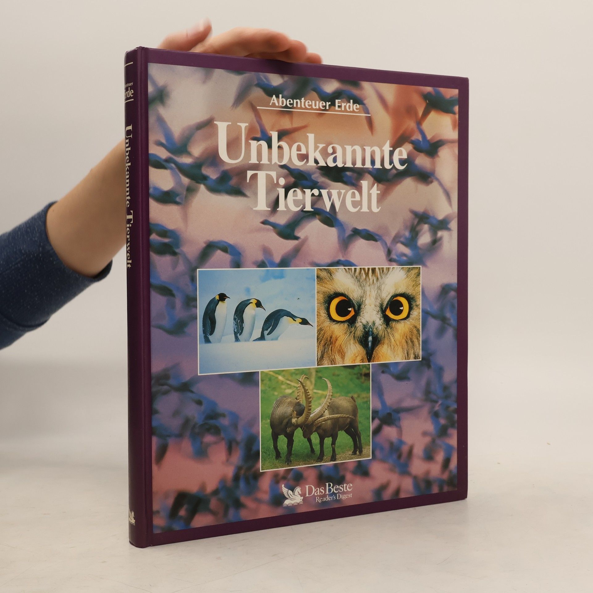 Michael Bright Unbekannte Tierwelt