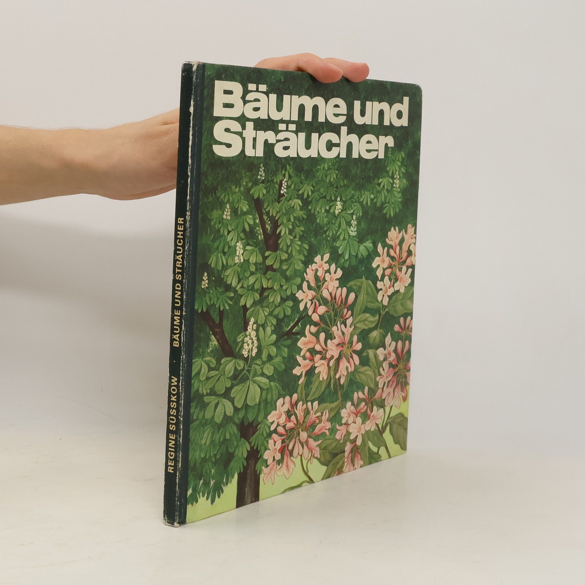 Bäume und Sträucher