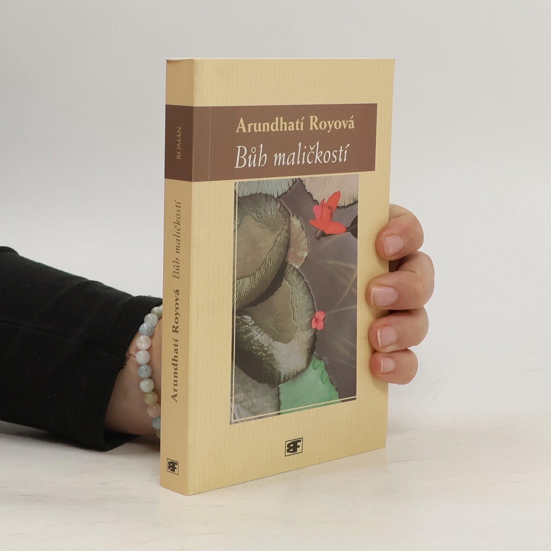 Arundhati Roy Bůh maličkostí