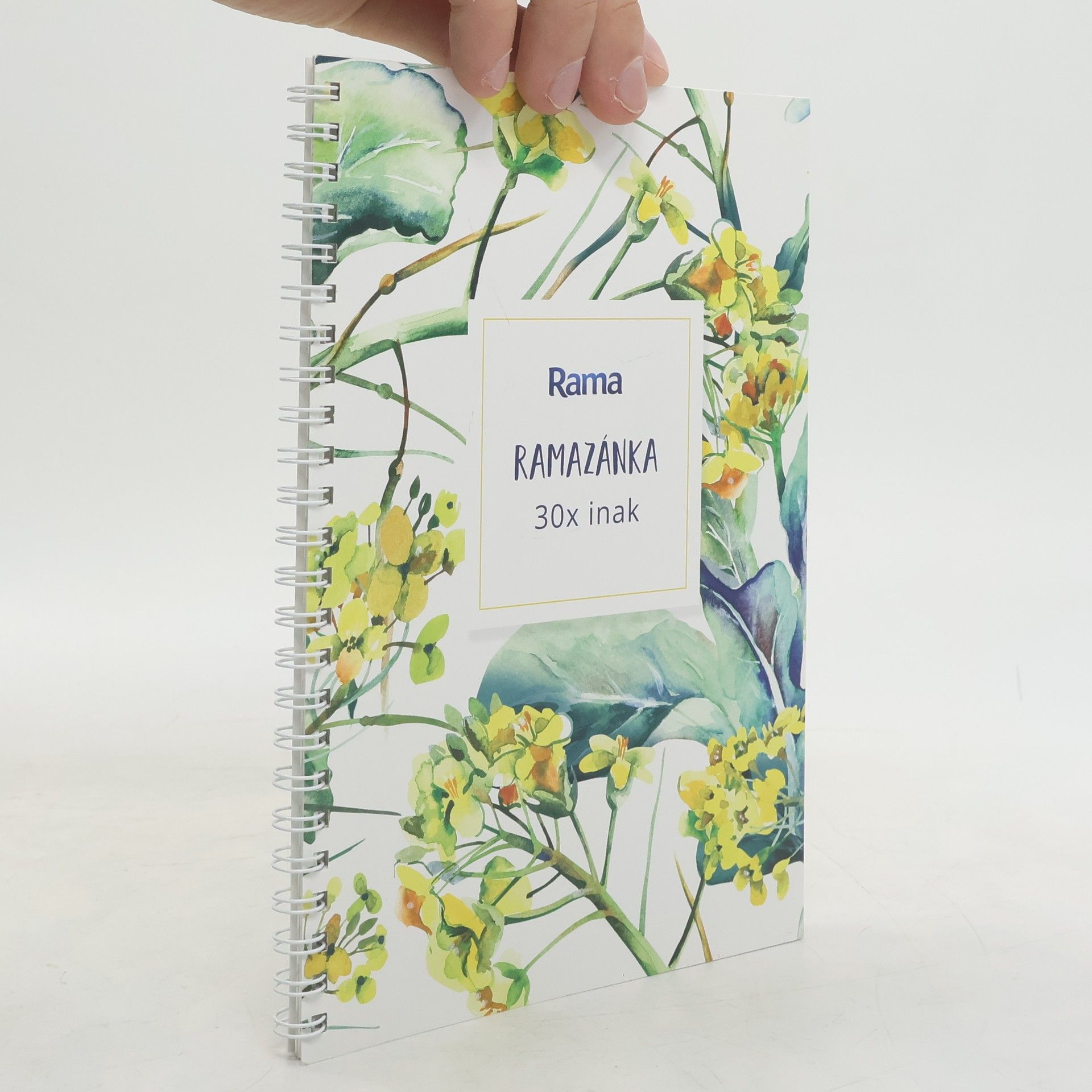 Collectif d'auteurs Ramazánka 30x inak