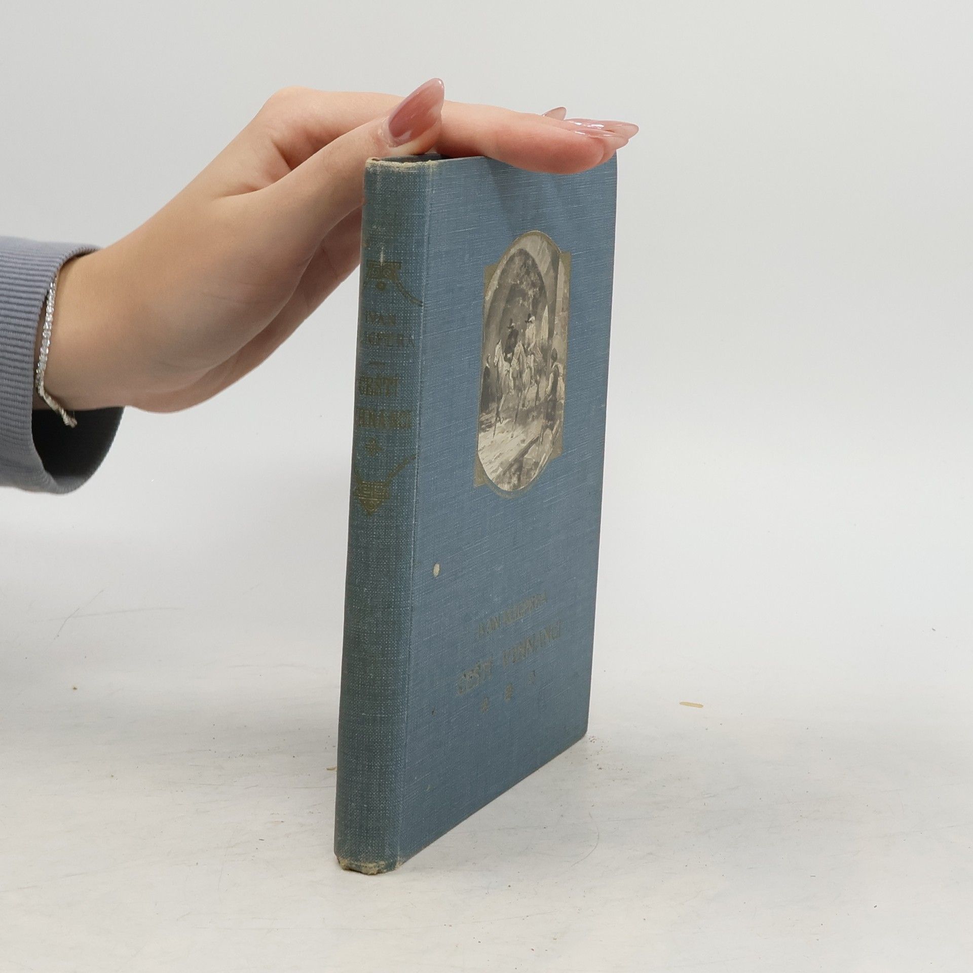 Čeští vyhnanci. Historický obraz z třicetileté války