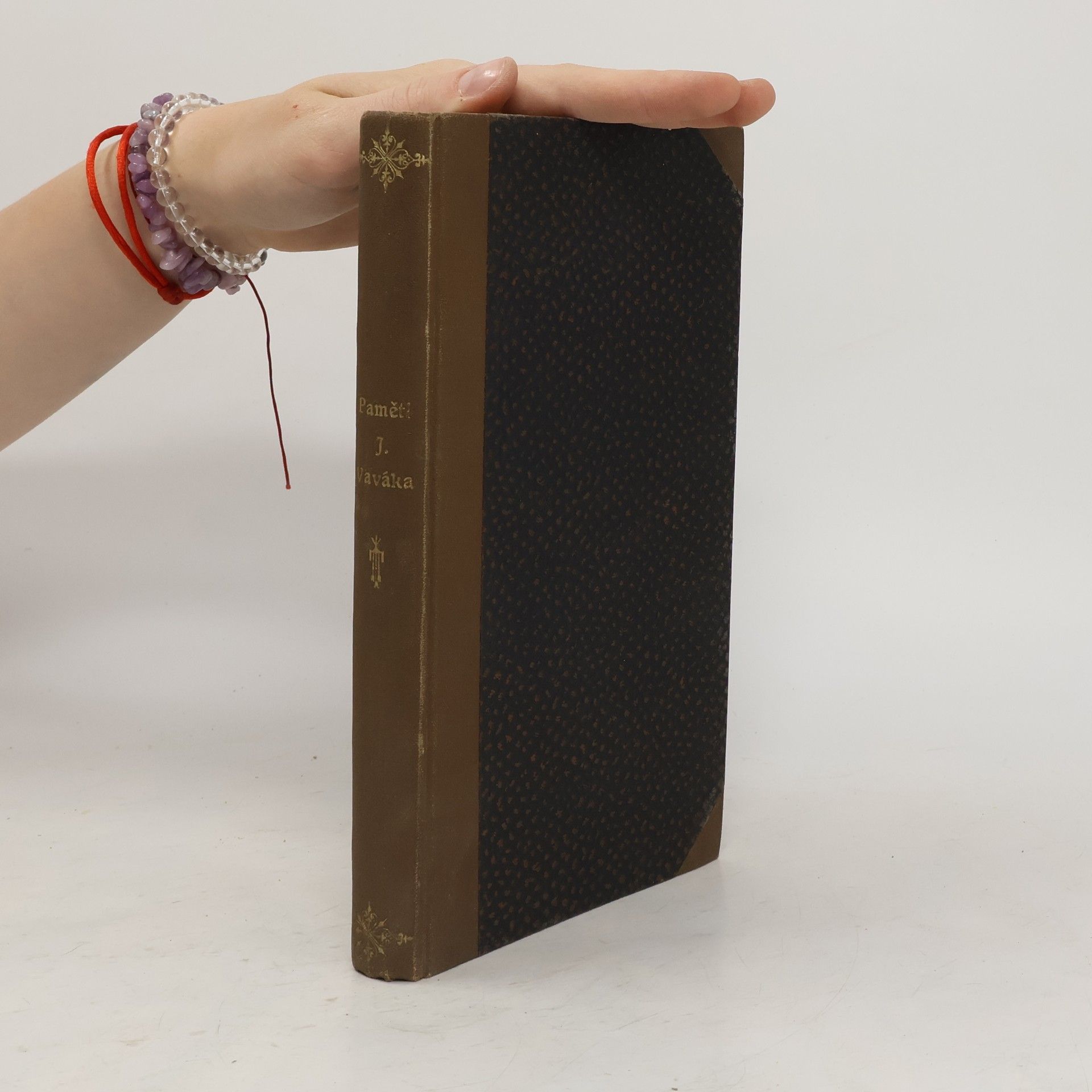 Kolektív autorov Paměti Františka J. Vaváka. Část I.