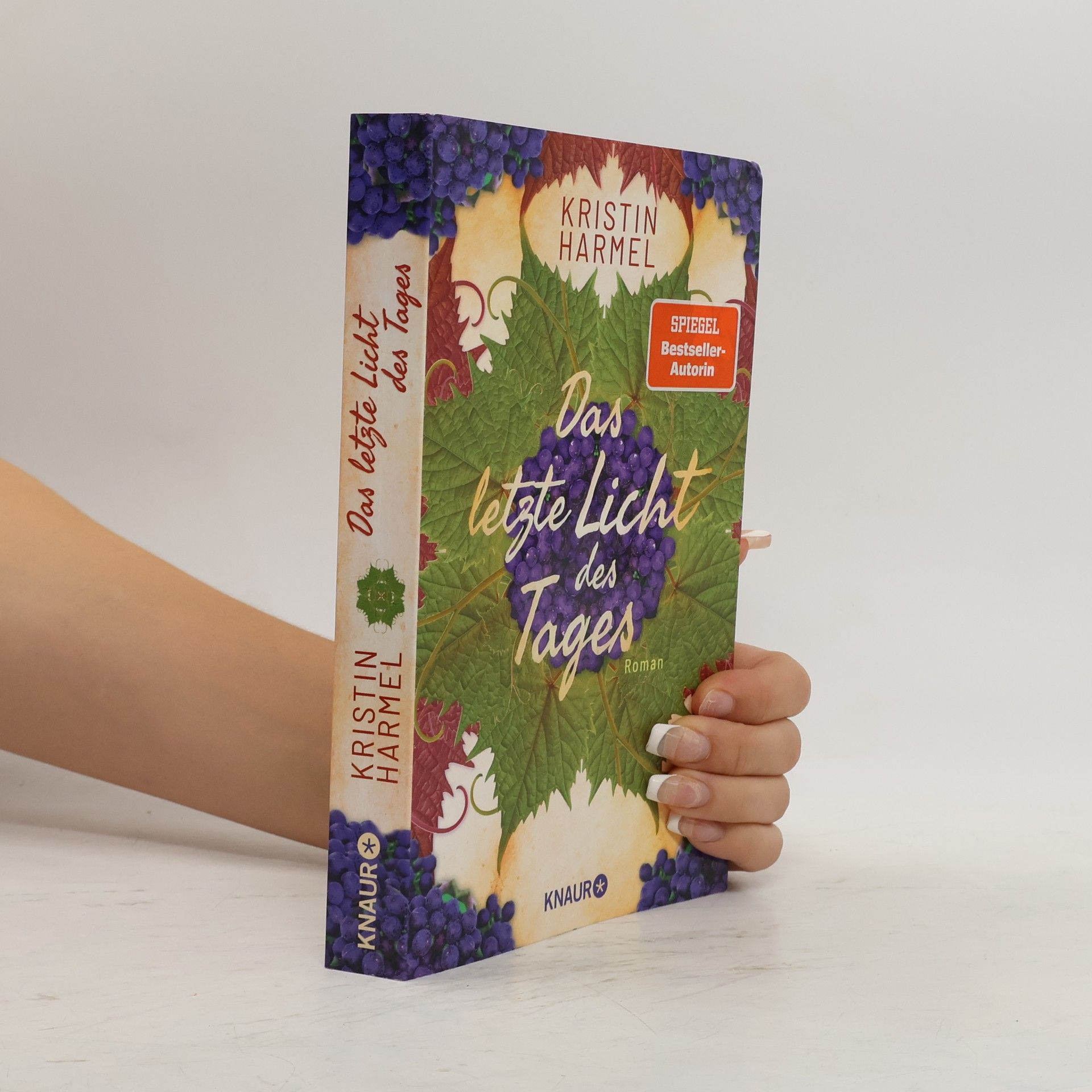 Kristin Harmel Das letzte Licht des Tages