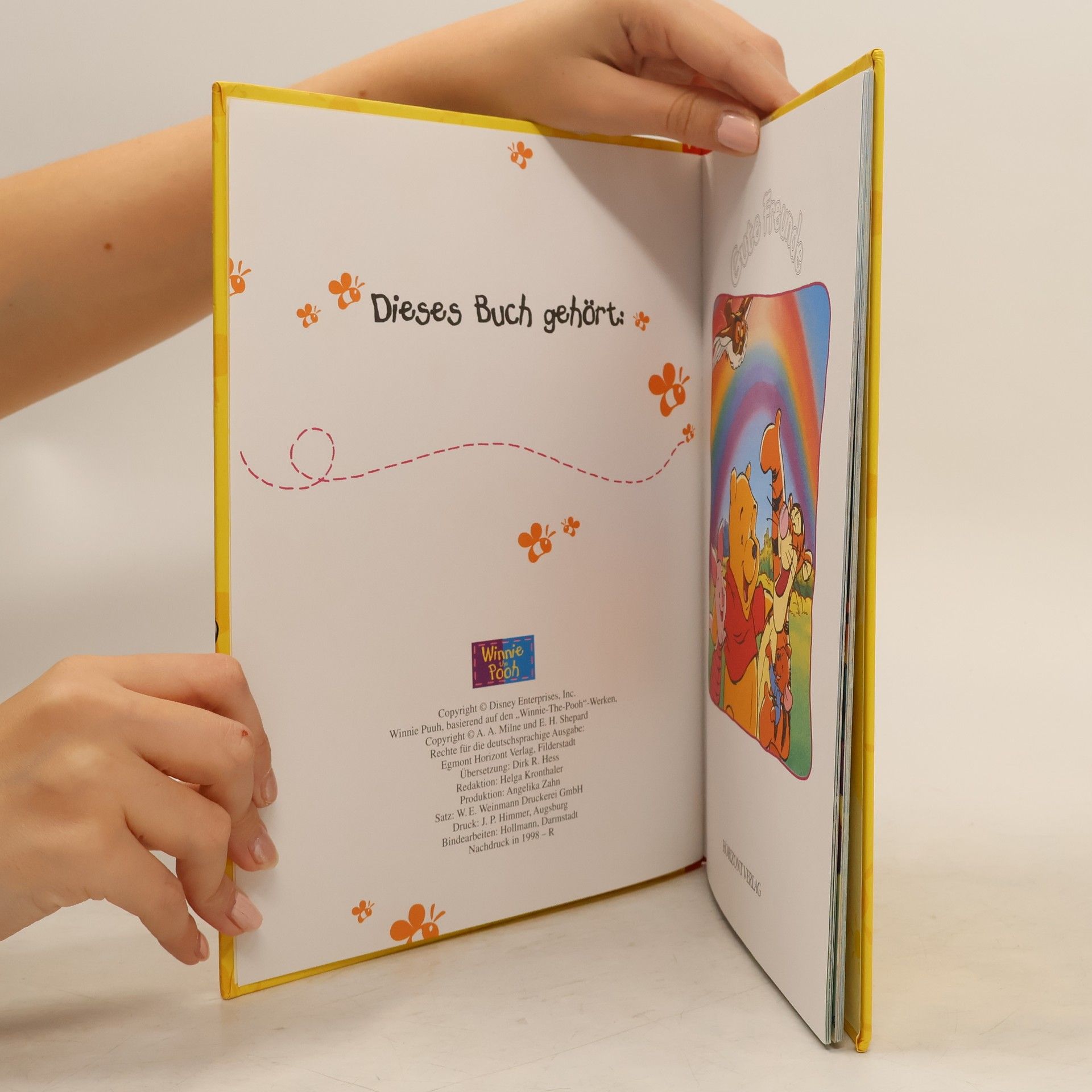Autorenkollektiv Winnie Puh. Gute Freunde