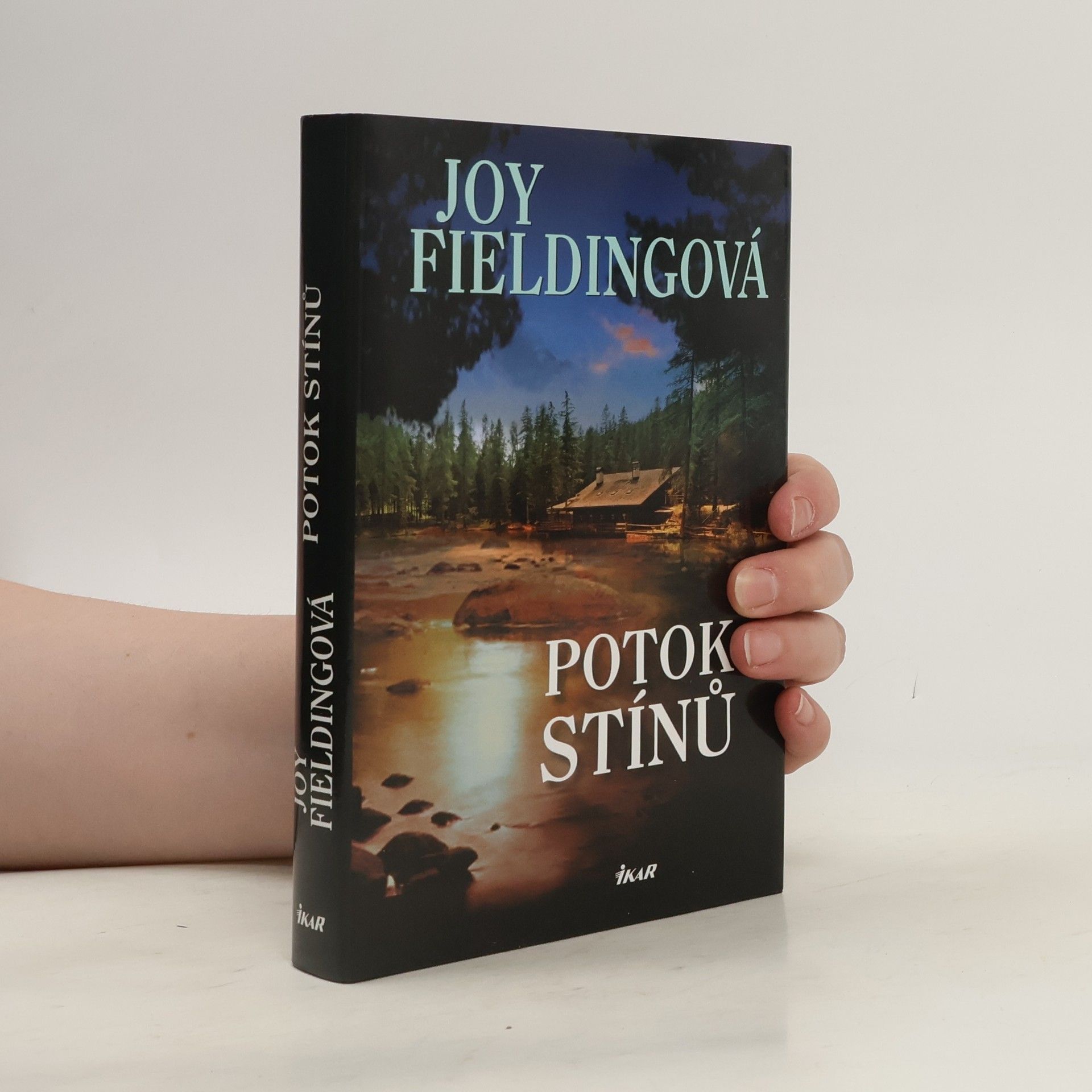 Joy Fielding Potok stínů