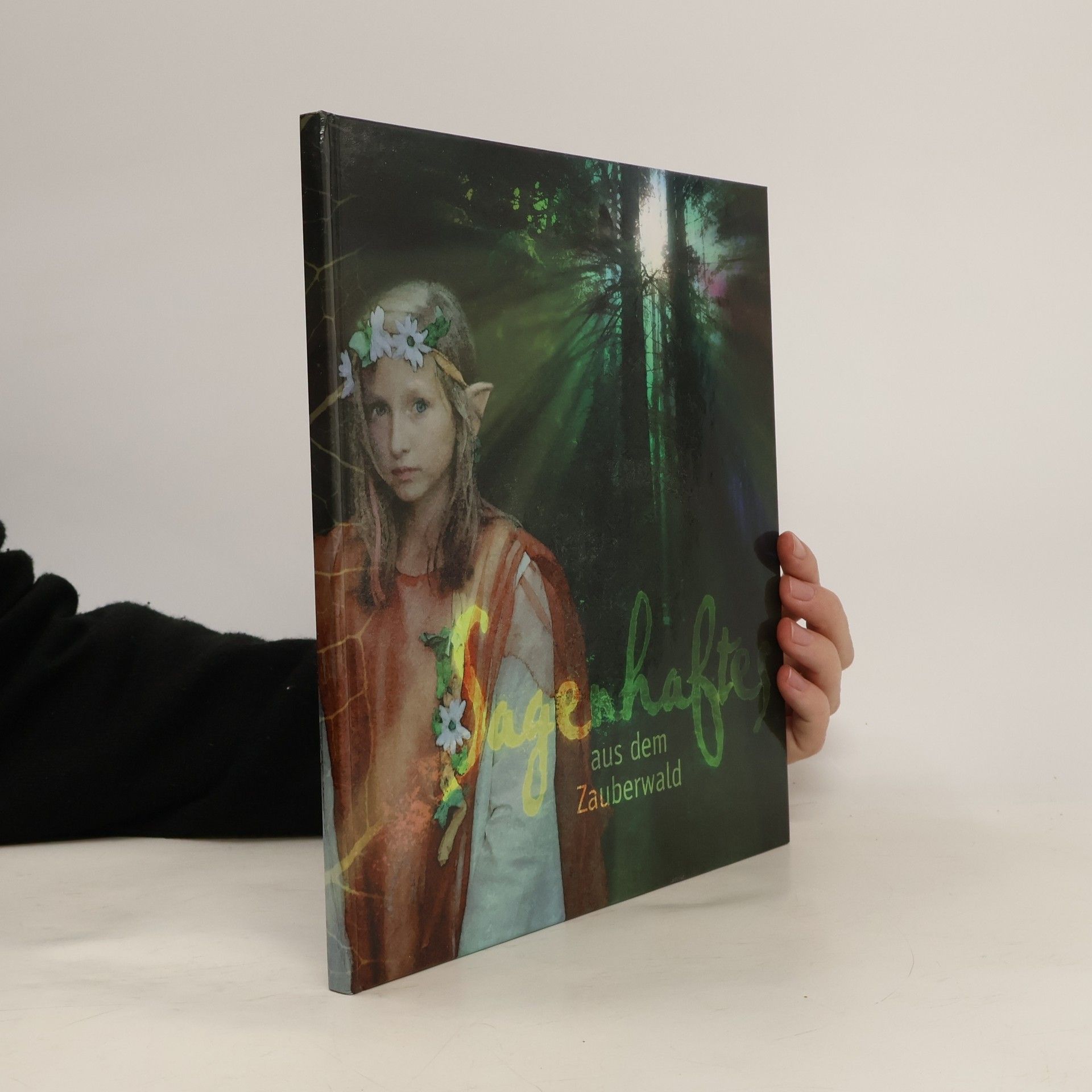 Various authors Sagenhafte aus dem Zauberwald