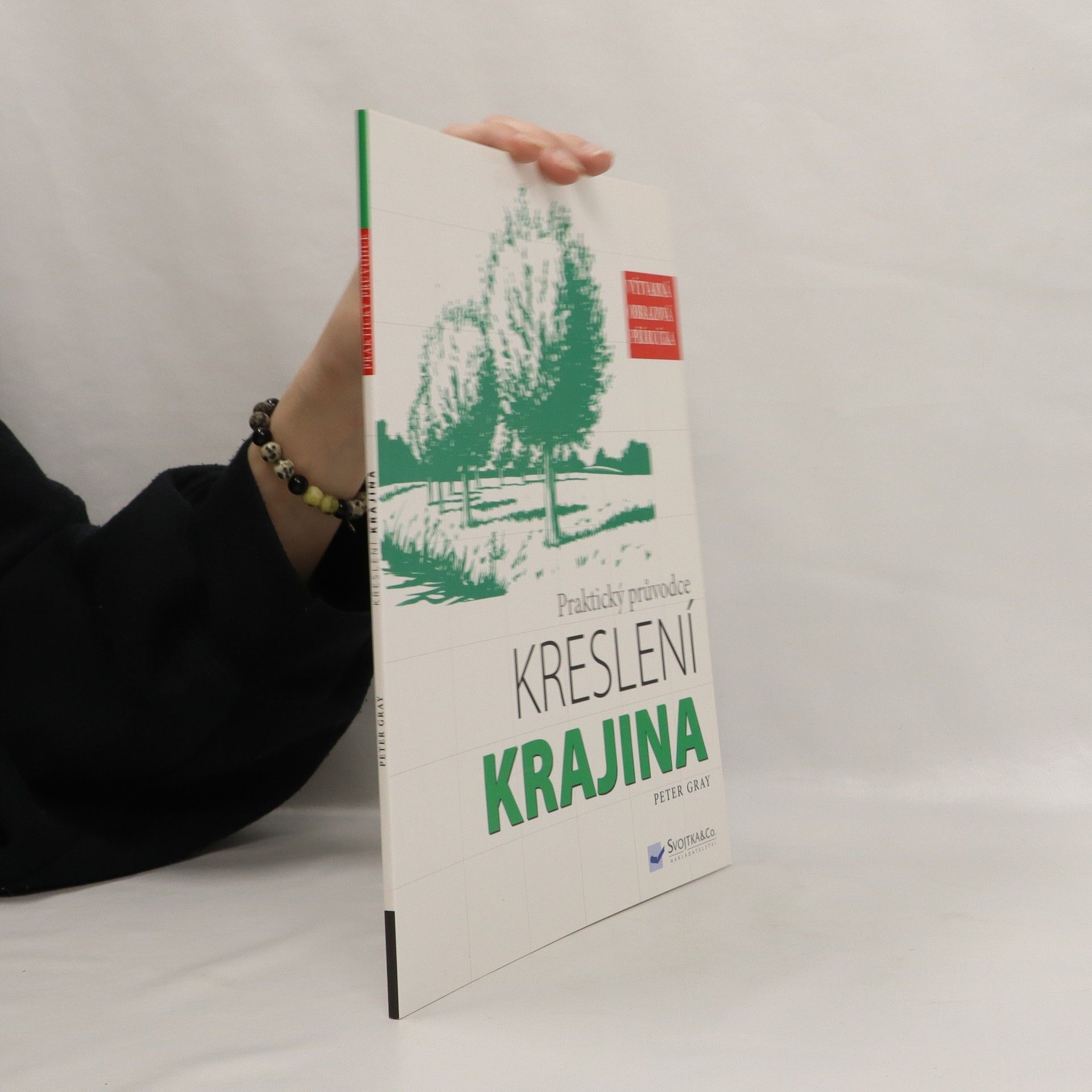 Peter Gray Praktický průvodce kreslení: Krajina