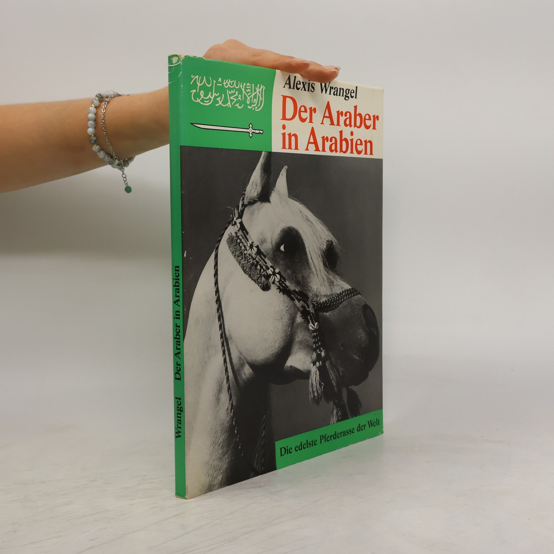 Alexis Wrangel Der Araber in Arabien