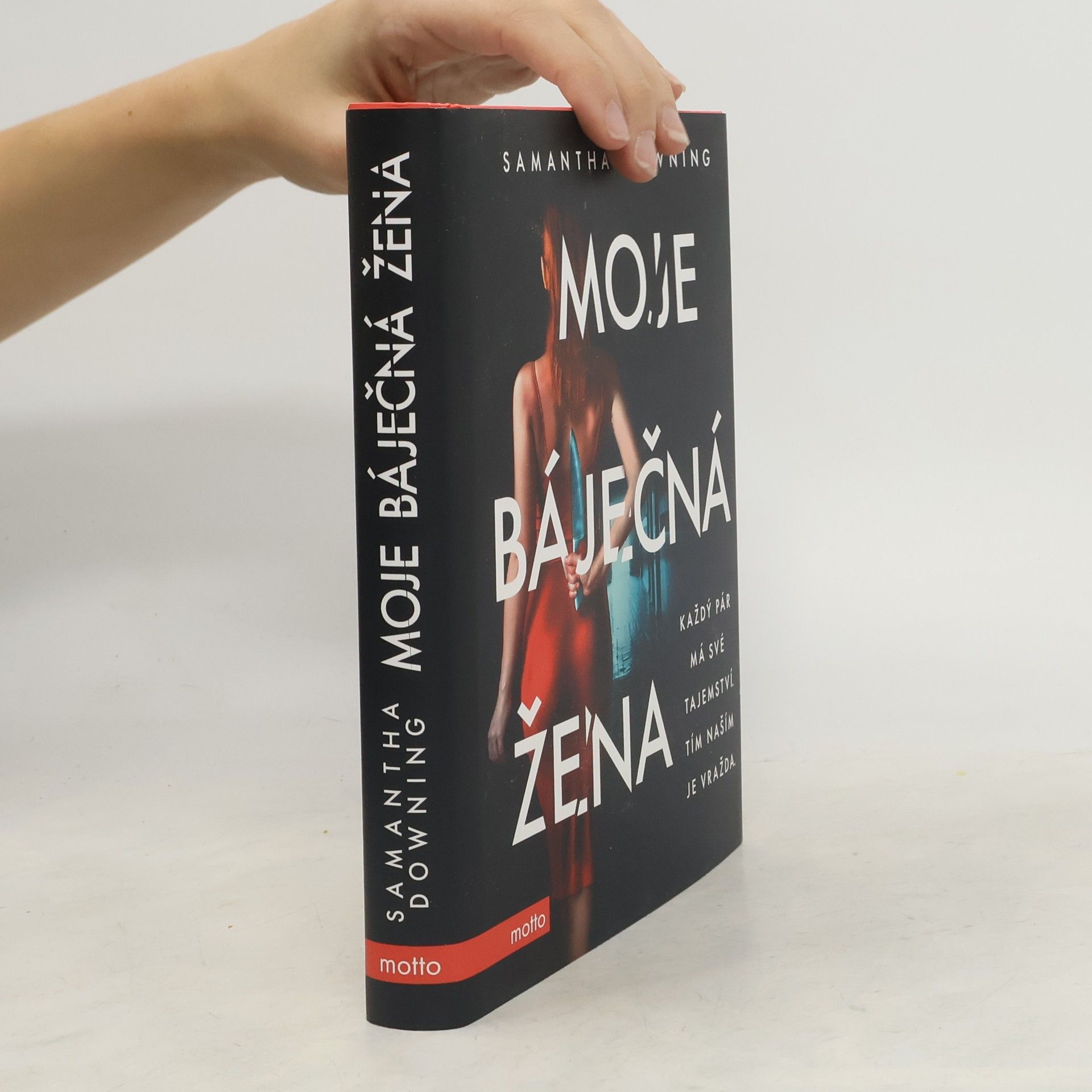 Samantha Downing Moje báječná žena