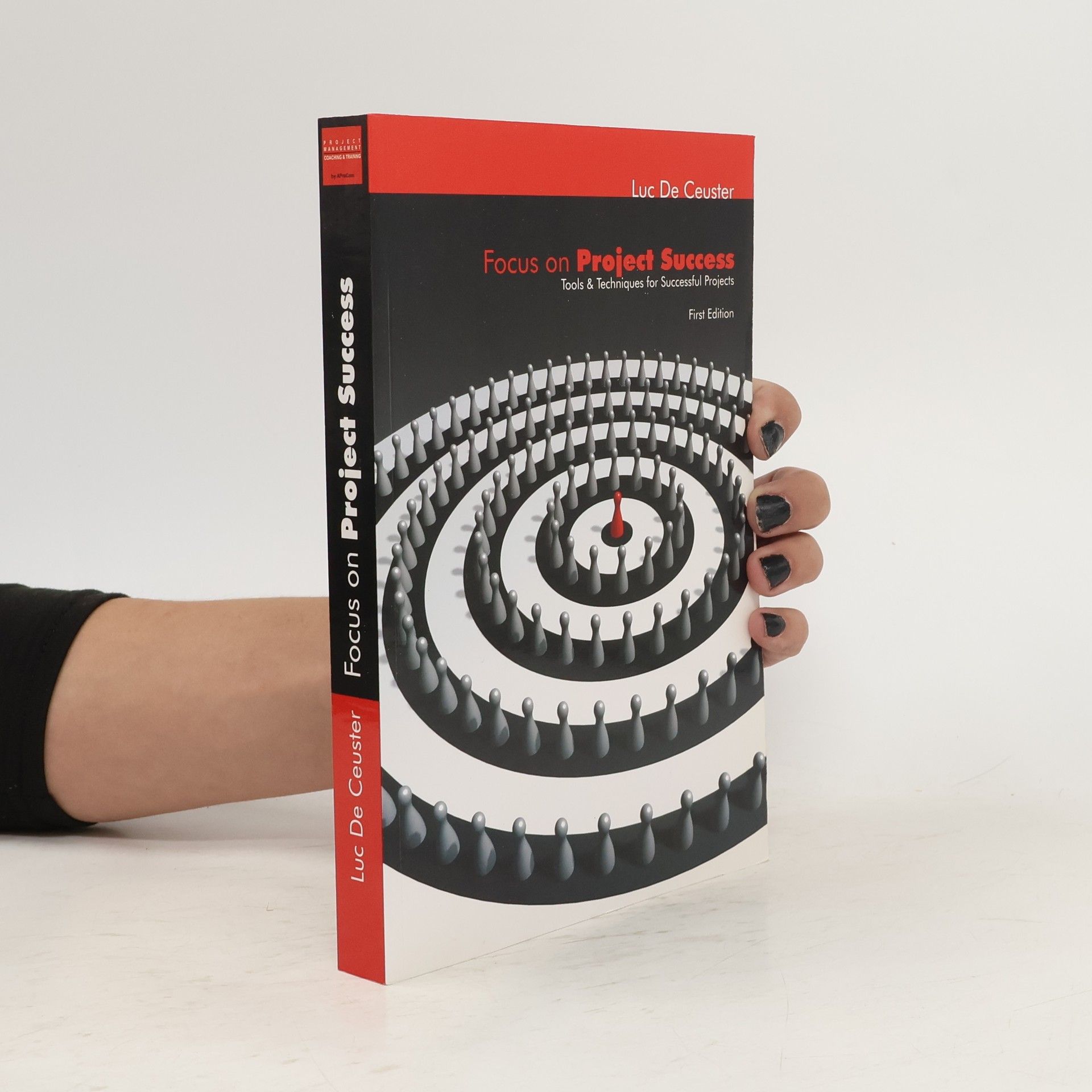 Luc De Ceuster Focus on project success