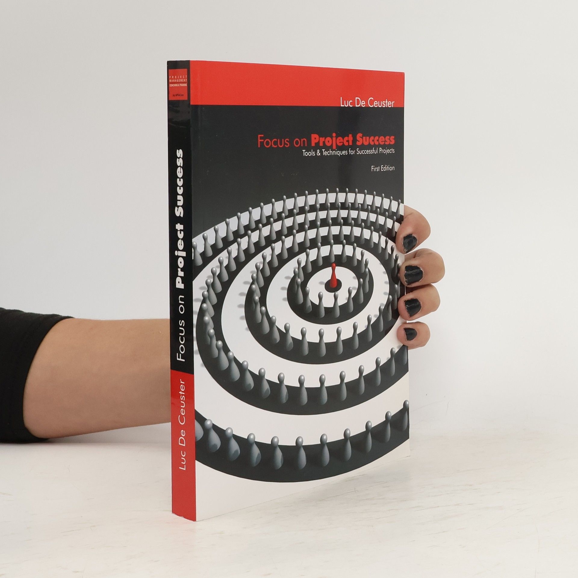 Luc De Ceuster Focus on project success