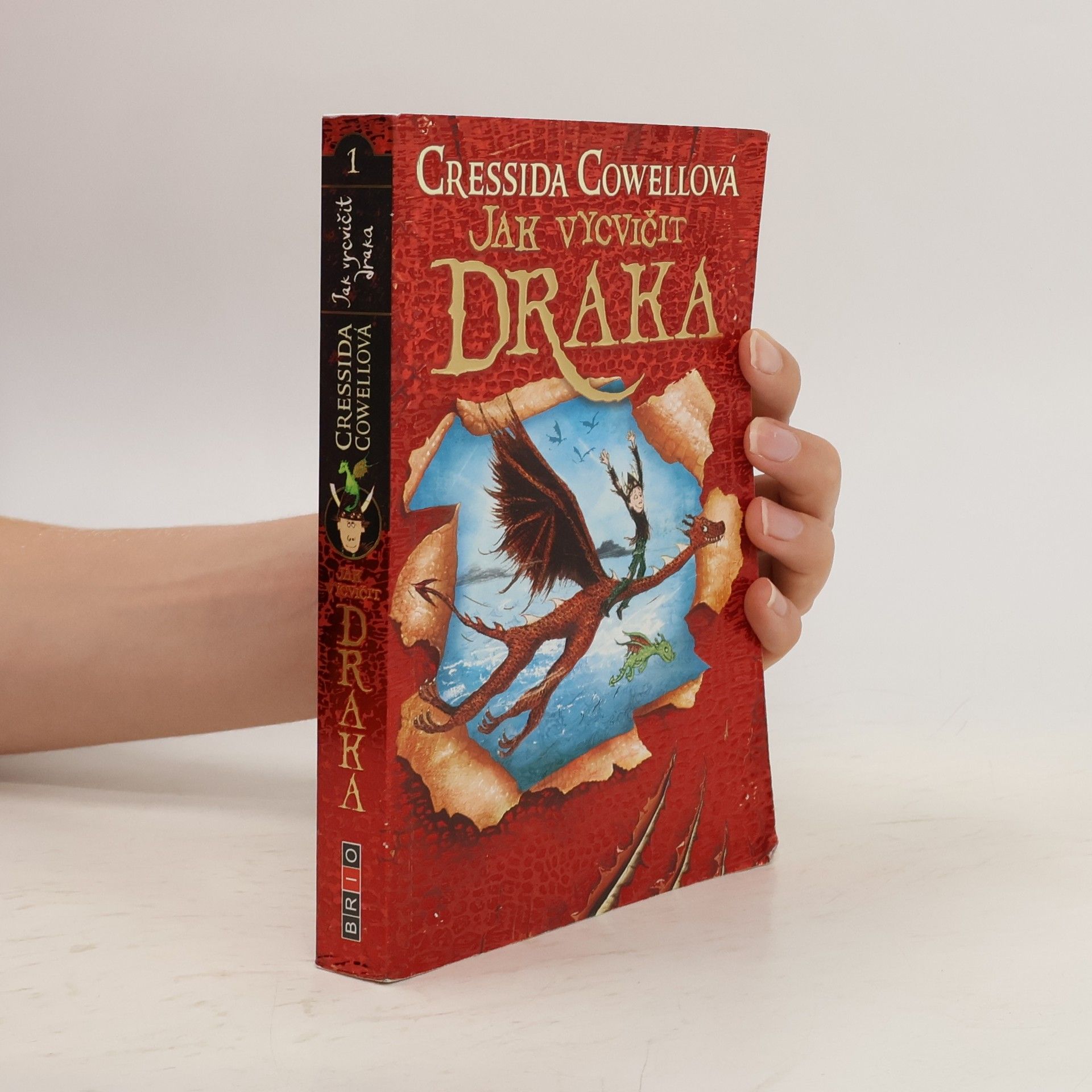 Cressida Cowell Jak vycvičit draka