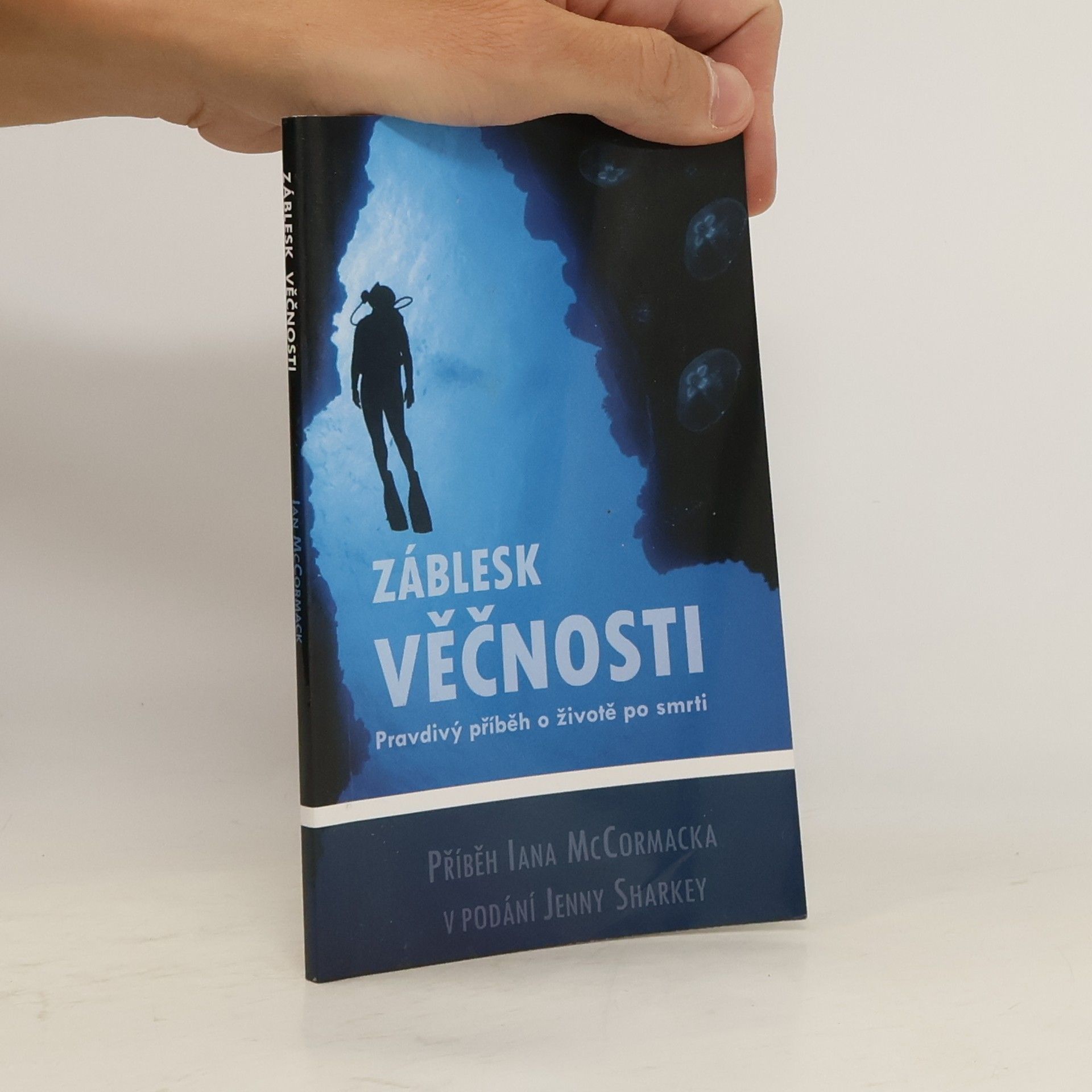 Collectif d'auteurs Záblesk věčnosti