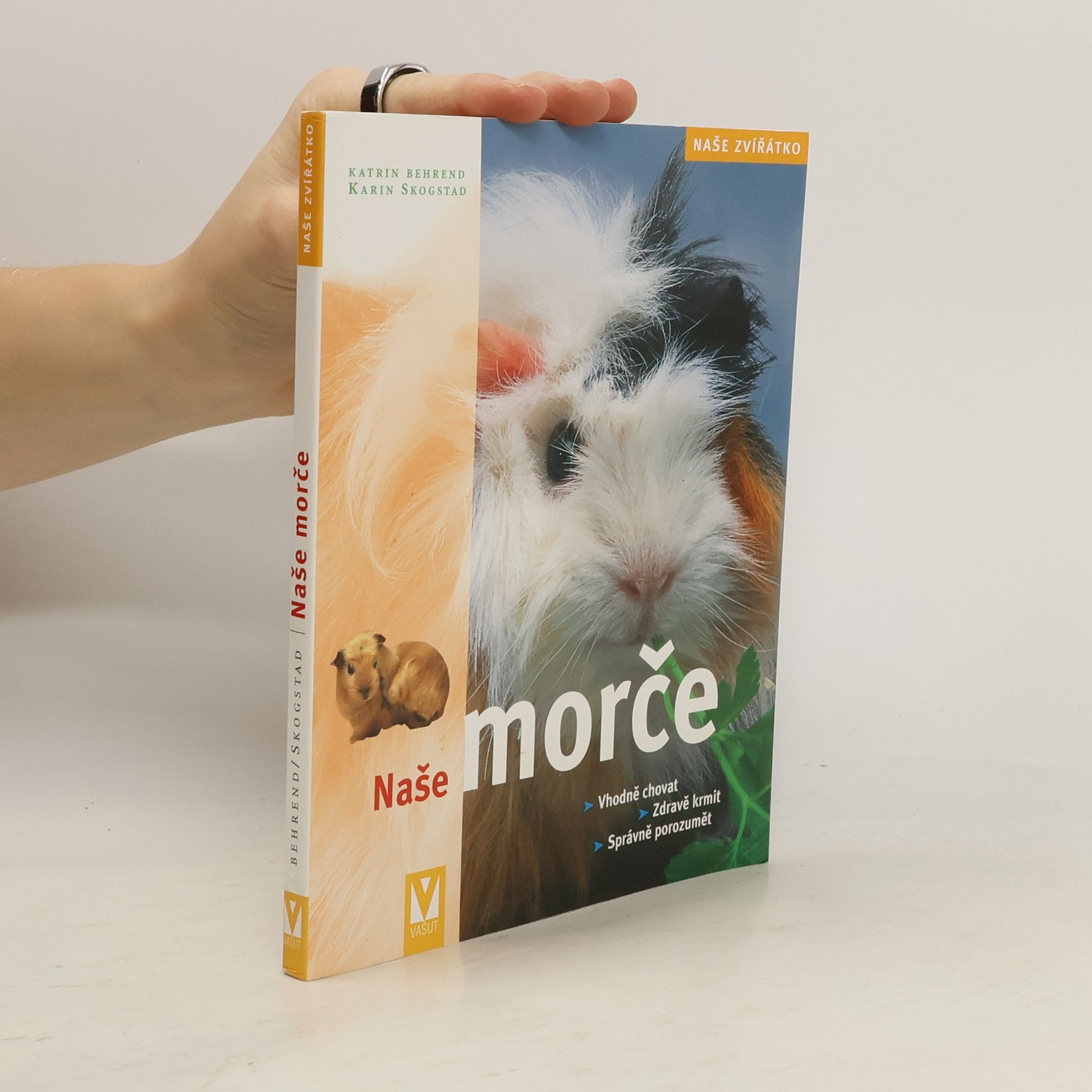Katrin Behrend Naše morče: Vhodná péče, zdravá strava, správné porozumění